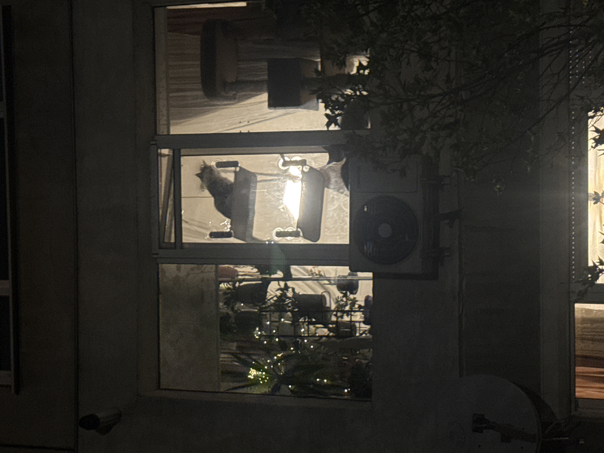 A three-paneled window reflects an interior scene at night. In the middle pane, a grey cat stands on a shelf. Below, in the bottom pane, potted plants with string lights are visible on a balcony. To the right of the window, an air conditioning unit is mounted. The window is part of a light-colored building, with a tree partially obscuring the view on the right side. A surveillance camera is visible on the bottom left of the building. In the distance to the right of the window frame a partially visible second window and curtain. There is no information to suggest the location is in Sofia, Bulgaria.
