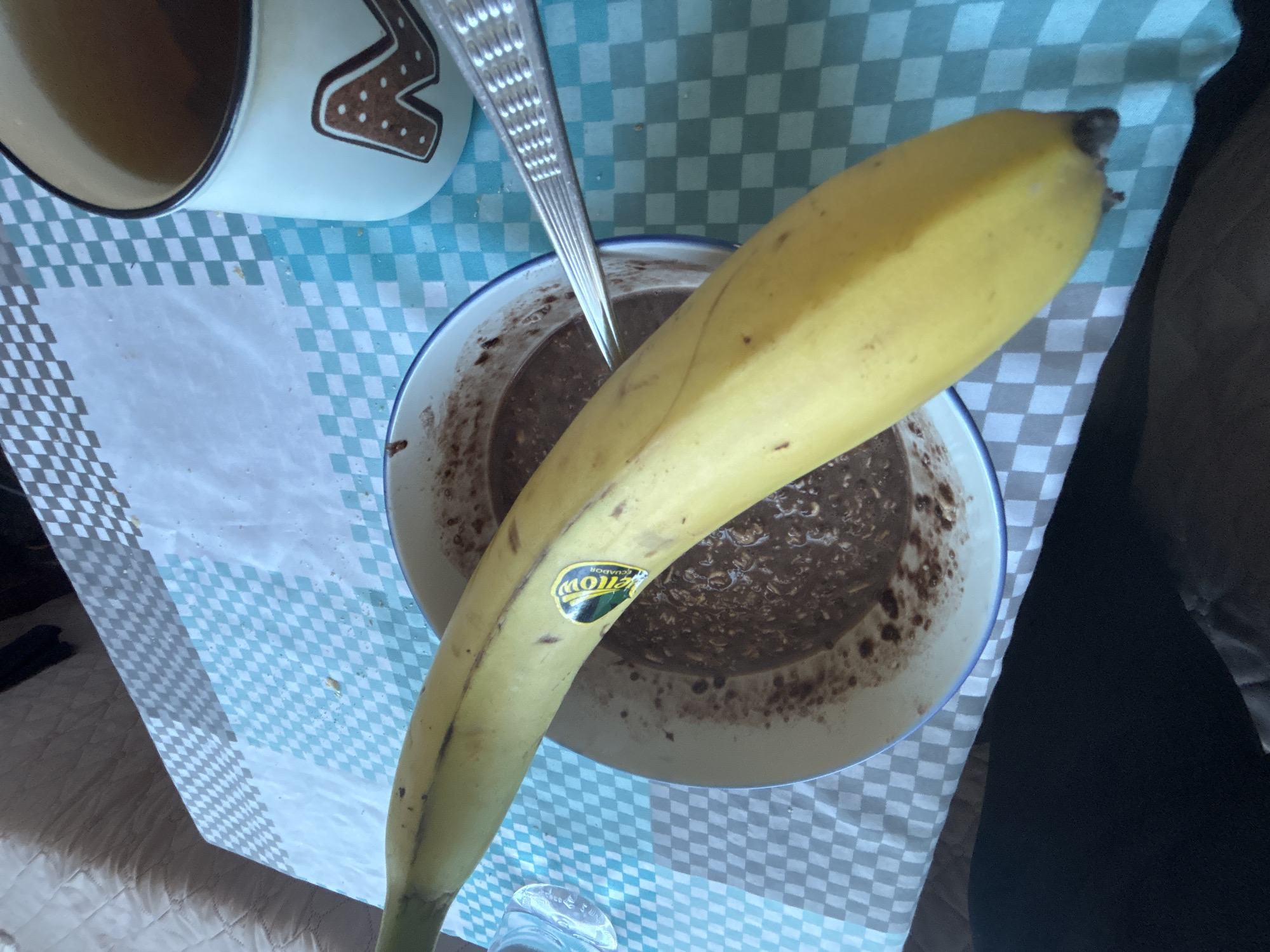 A top-down shot displays a light blue and white checkered tablecloth. A large, yellow banana overlays a white bowl containing a dark brown, mushy substance, possibly oatmeal or porridge. A silver spoon rests in the bowl. To the left, a white mug with a brown zigzag design contains a light-colored liquid. A fragment of a glass object is visible near the base of the banana. A section of a person's dark-colored clothing is visible on the right side of the frame. The setting's location in Zlatograd, Bulgaria is not discernible from the visual information.