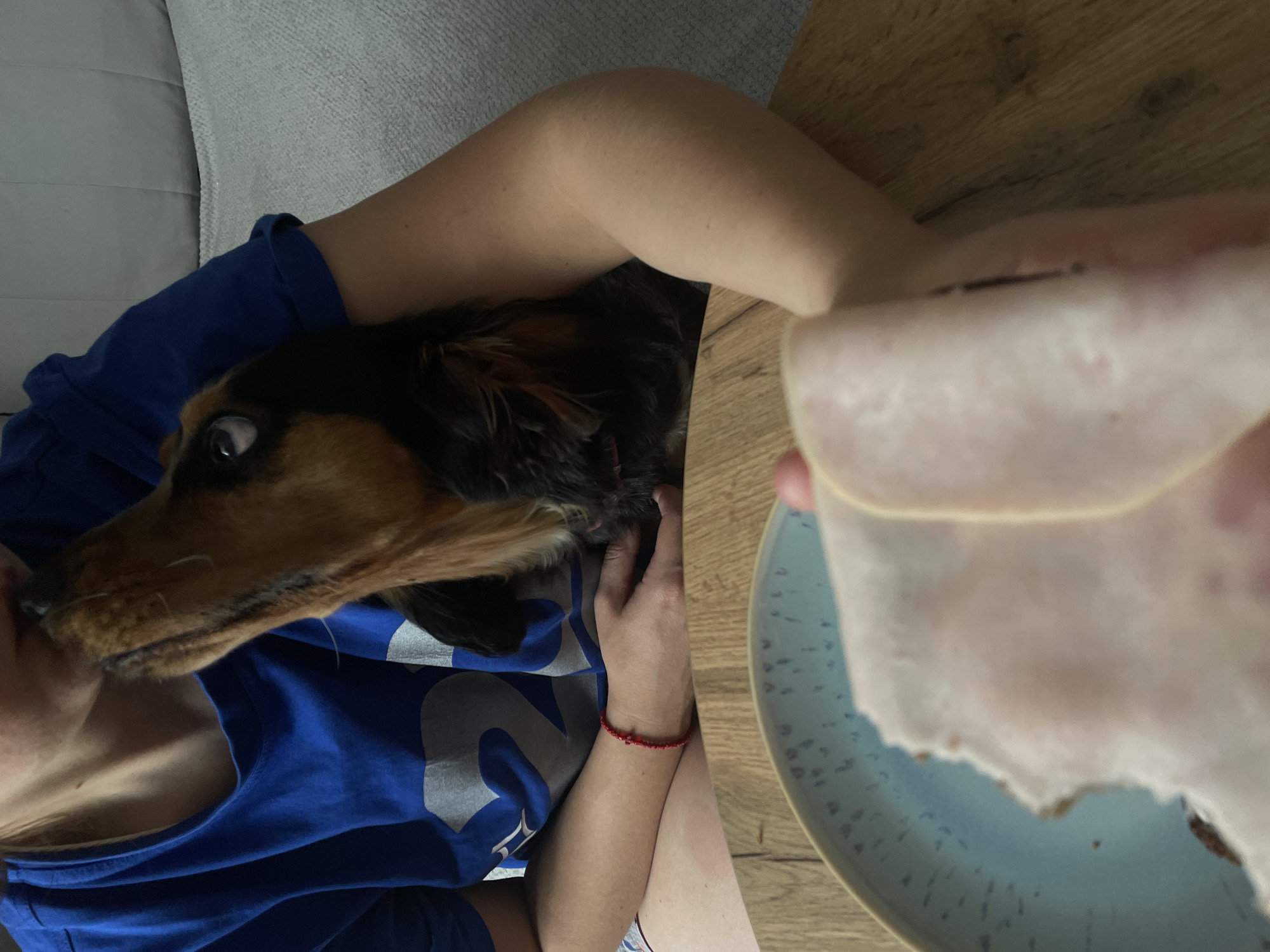 A person wearing a blue t-shirt is holding a dog, which is licking the person's chin. The person is sitting at a wooden table with a plate of food in front of them. The environment appears to be an indoor setting, possibly a home, as suggested by the furniture in the background. The image does not provide any specific clues to indicate the location is Rostov-on-Don, Russia.