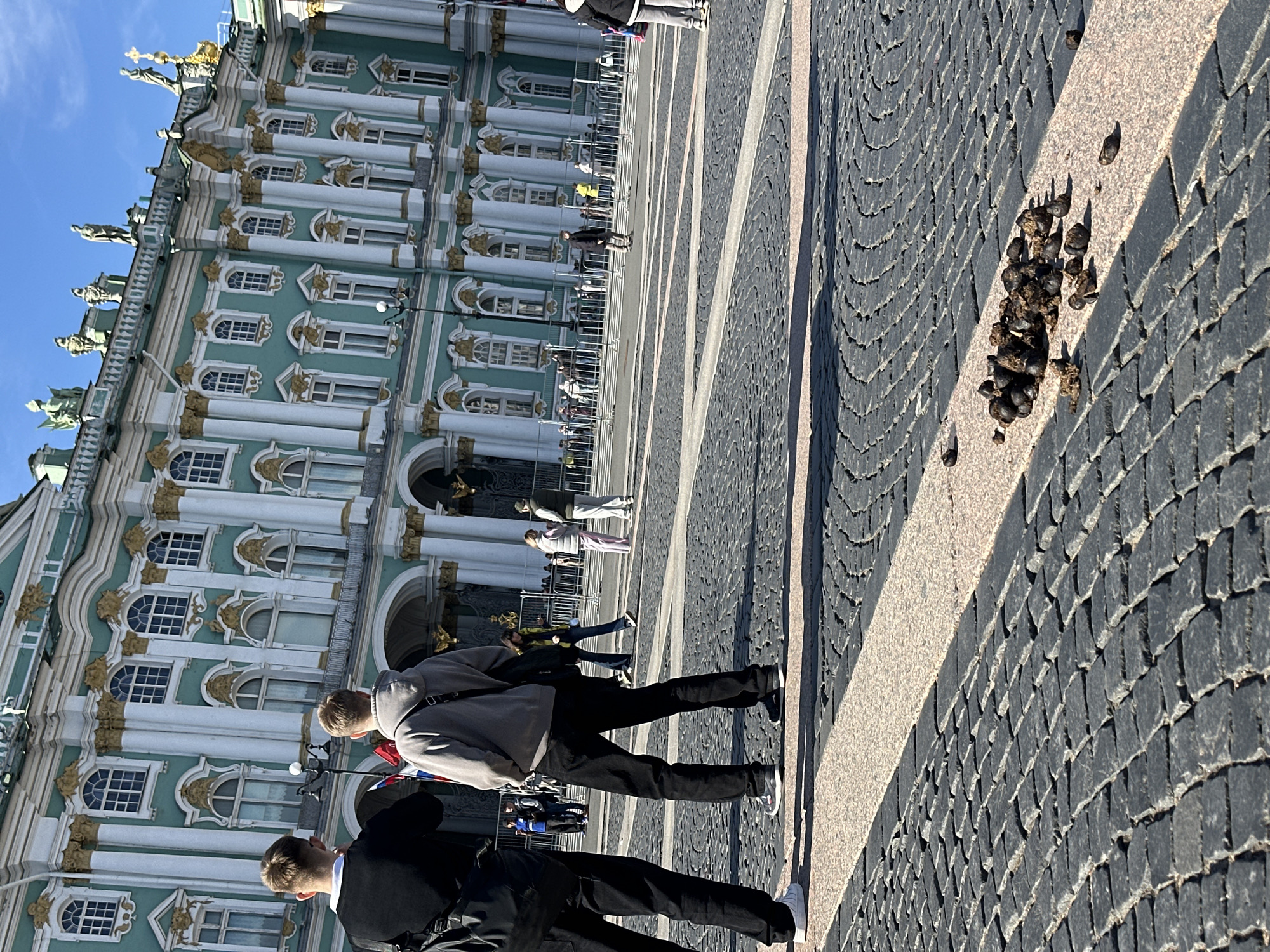 The image depicts a scene in Saint Petersburg, Russia, with the Winter Palace (Hermitage Museum) in the background. Two people are walking on a cobblestone and stone slab walkway. A pile of animal feces is visible on the walkway. Other people can be seen in the distance. The sky is blue.