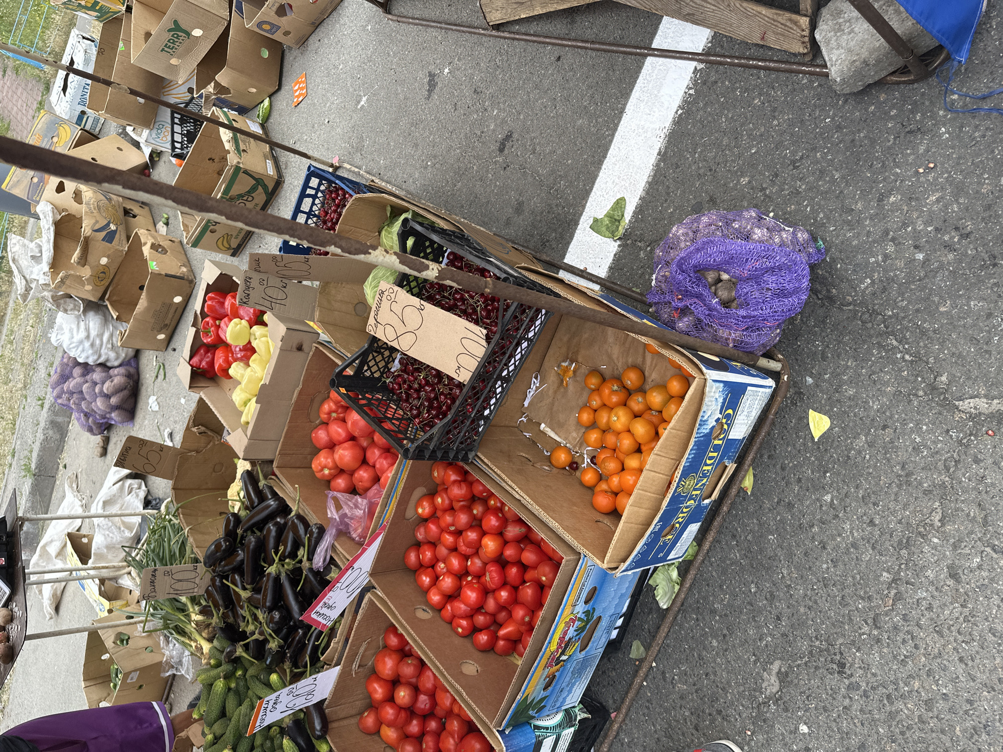 This media file captures a vibrant outdoor market scene in Kyiv, Ukraine. The image showcases a variety of fresh produce displayed on cardboard boxes and in crates, arranged on a metal stand. Among the visible items are red and yellow bell peppers, tomatoes, eggplants, cucumbers, cherries, and small orange fruits, possibly cherry tomatoes or kumquats. A net bag filled with what appears to be potatoes or onions is also present.
Several price tags with handwritten inscriptions are visible, indicating the items are for sale. Some text is legible, including "Капуста пик 00" (Cabbage pie 00), "Черешня 185" (Cherries 185), and "Носики" which is likely a name or product descriptor. The overall impression is that of a bustling market, likely taking place during daylight hours, given the lighting. The ground is paved, suggesting an urban or semi-urban setting. While no people are fully in frame, a portion of a person's arm wearing a purple garment is visible in the lower left corner, suggesting a customer or vendor interaction. The scene is rich with the colors and textures of fresh produce, evoking a sense of abundance and local commerce.