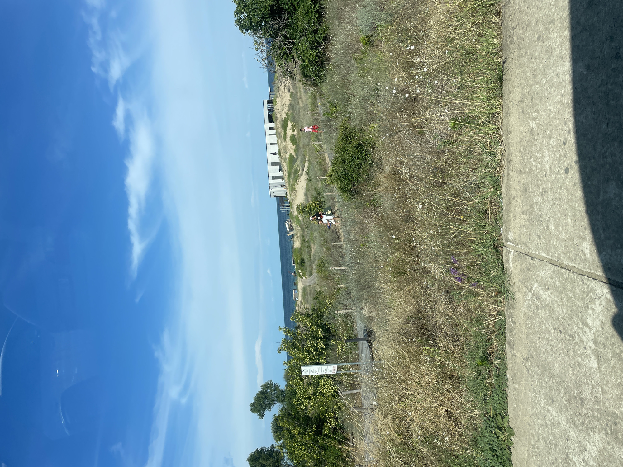 This is a sunny day photograph taken from a ground-level perspective, likely from a vehicle, looking towards a coastal landscape in Sozopol, Bulgaria. The scene is dominated by a bright blue sky with scattered white clouds.
In the foreground, there is a concrete surface with a visible seam, casting a shadow from an unseen object. Beyond the concrete, a path is bordered by dry, tall grasses and scattered small white and purple wildflowers, with some green foliage and bushes interspersed. A wooden boardwalk and a signpost are visible to the left.
Further back, the landscape transitions into sandy dunes dotted with greenery. Several individuals are present: a group of three people, including two adults and one child, are walking on a path, and another child in a red shirt is seen further ahead. In the background, a white, long, rectangular building with multiple openings stands on a dune, overlooking the sea. The sea itself is calm with a distant horizon. Trees are visible to the far left and right of the frame.