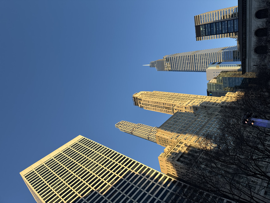 A low-angle perspective captures several skyscrapers against a clear blue sky. The buildings vary in architectural style, from the grid-like facade of a modern tower to the ornate, stepped design of older structures. Bare tree branches obscure the lower portion of some buildings, hinting at a park-like setting. Sunlight reflects off the surfaces of the buildings, creating a dynamic interplay of light and shadow.