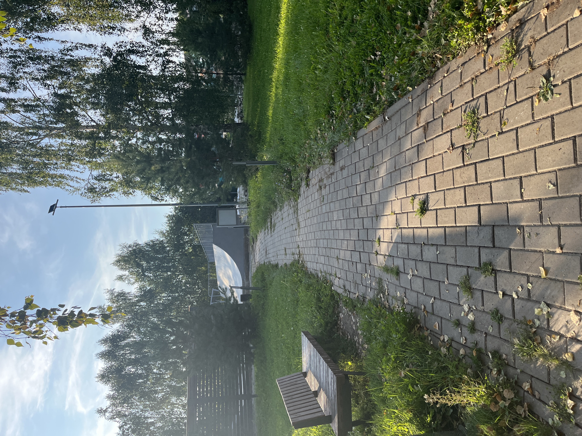 The image depicts a paved pathway in a park-like setting. The pathway is made of rectangular gray pavers and is slightly uneven, with some grass and fallen leaves scattered on it. To the left of the pathway, there is a wooden bench with a slatted seat and backrest, situated on a grassy area. Beyond the bench, a wooden fence is visible. Further into the background, a section of a skate park ramp can be seen, with a metallic surface and a white railing. The surrounding area is covered in green grass and various trees, including some tall birch trees with drooping branches and smaller evergreen trees. The sky is blue with some wispy white clouds, and the sun is casting shadows across the pathway, indicating it is likely late afternoon or early morning. There are no people visible in the image. The environment suggests a public outdoor recreational space.