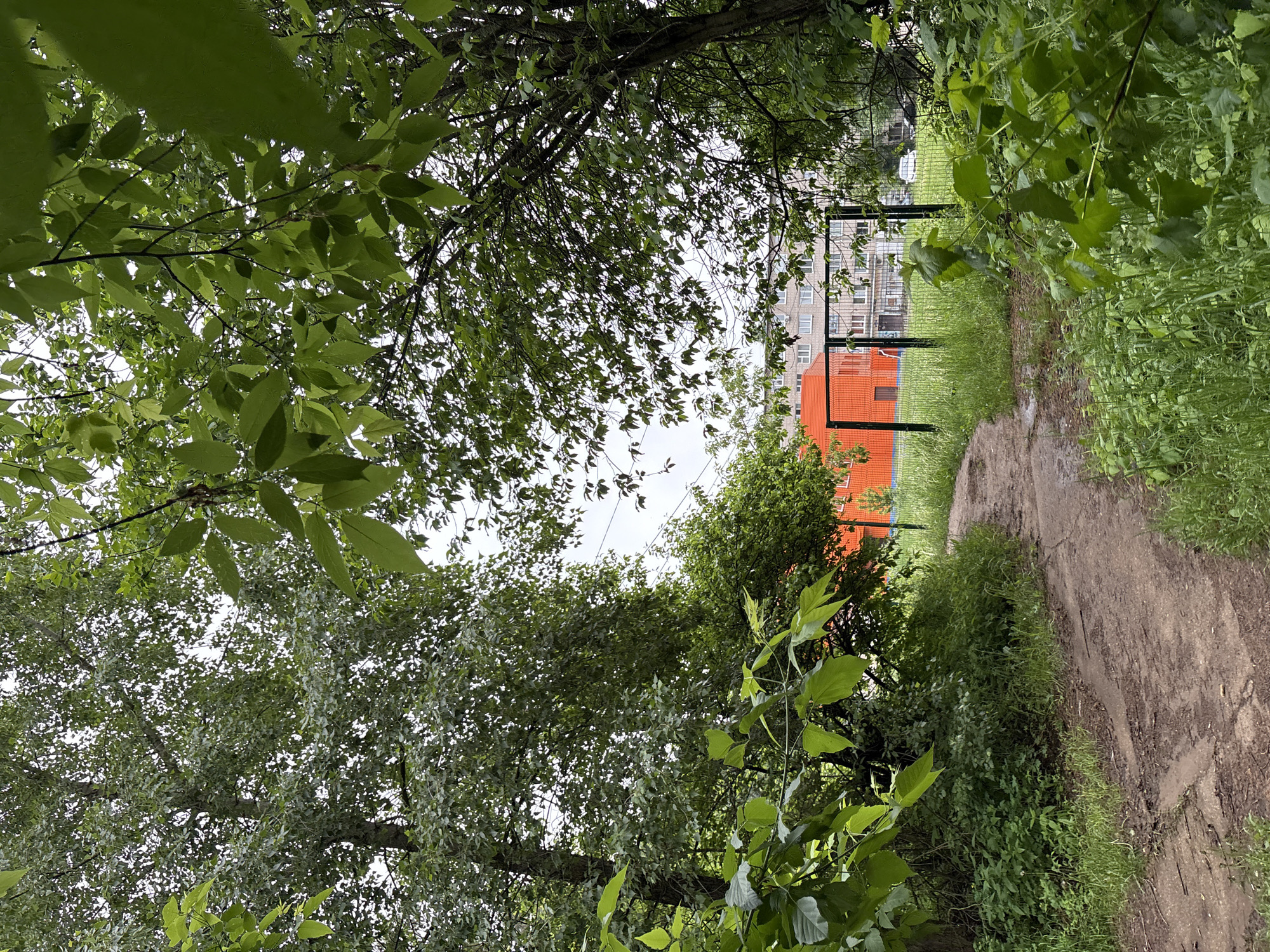 The image presents a view down a narrow, damp dirt path framed by abundant green foliage, likely captured in Chaikovsky, Russia. In the immediate foreground and extending into the midground, dense trees and bushes with lush green leaves create a tunnel-like effect, partially obscuring the sky. The leaves appear wet, suggesting recent rain or high humidity.
The path itself is unpaved, showing signs of wear and dampness, and is flanked by tall green grass and various undergrowth. To the right of the path, a black metal fence or barrier is visible, running parallel to the dirt track.
In the background, urban elements come into view. A prominent, bright orange, rectangular structure or small building stands out against the muted tones of the sky and other buildings. Behind and to the left of this orange structure, a multi-story residential building with a light-colored facade and numerous windows can be seen under an overcast sky. The overall impression is that of a natural, somewhat wild pathway leading towards a more developed, residential area.
No people are visible, nor is any specific activity taking place. The time of day appears to be daytime, under a cloudy or overcast sky, with the damp ground hinting at recent precipitation. There is no visible text in the image.