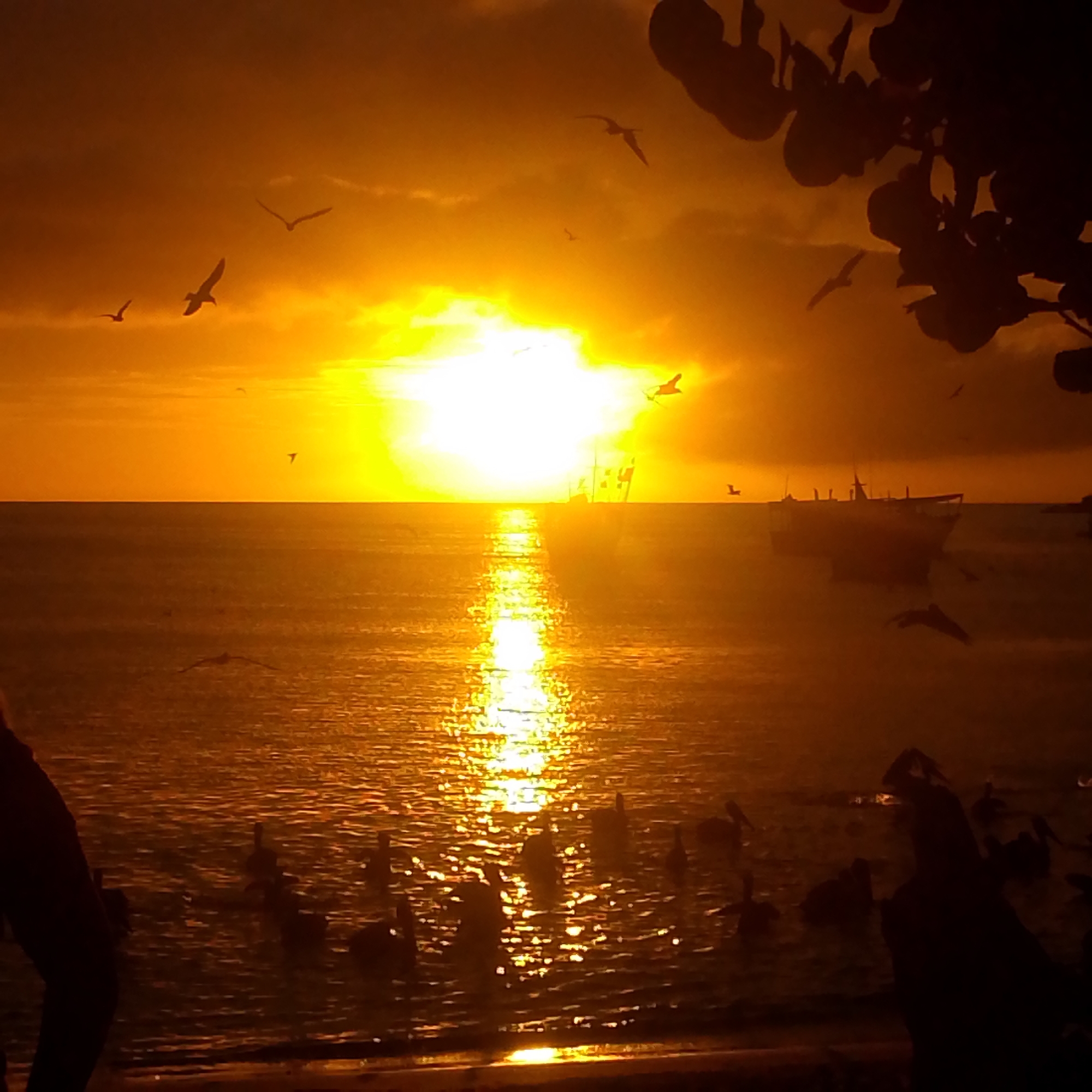 This is a photograph taken at sunset in Juan Griego, Venezuela. The scene depicts the sea with a brilliant orange sunset creating a strong reflection on the water. Several birds are silhouetted against the sky, some in flight. In the distance, a boat is visible on the water, also silhouetted. In the foreground, on the beach, there are also silhouetted figures, possibly people and more birds, though their forms are less distinct due to the lighting. The overall mood is serene, with the warm, intense colors of the sunset dominating the composition.