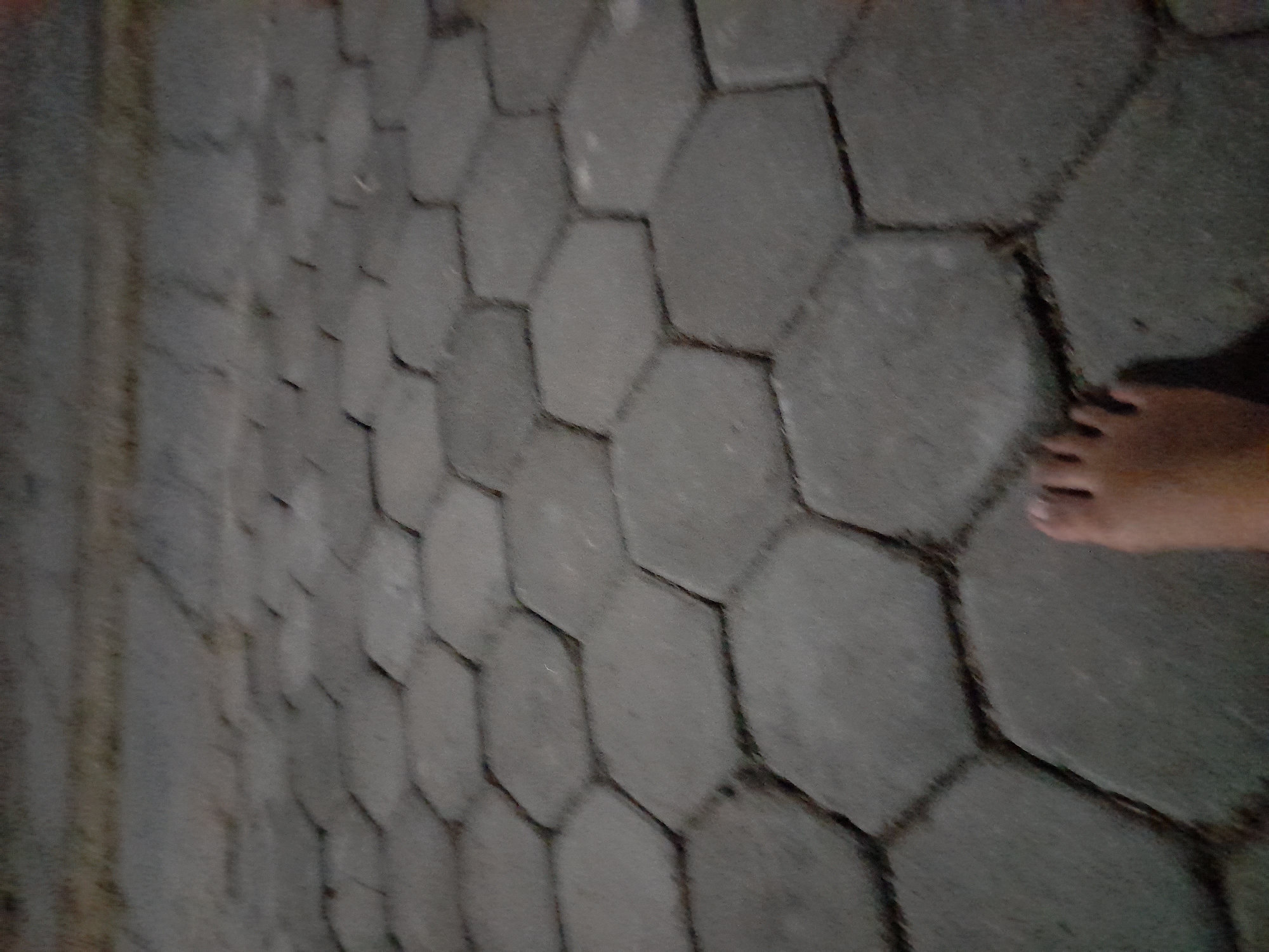 The image shows a person's bare foot stepping onto a pathway made of hexagonal interlocking concrete pavers. The pavers are gray and laid in a pattern that creates a tessellated surface. The foot is positioned in the lower right corner of the frame, with the toes clearly visible. The scene is an outdoor setting, likely a sidewalk or garden path, given the paving stones. The lighting suggests it might be daytime, possibly overcast or late afternoon, as there are no strong shadows. The focus is on the ground and the foot, with the background of the pavers extending out of focus. There is no visible text in the image. The overall impression is a simple, everyday moment captured from a low angle.
