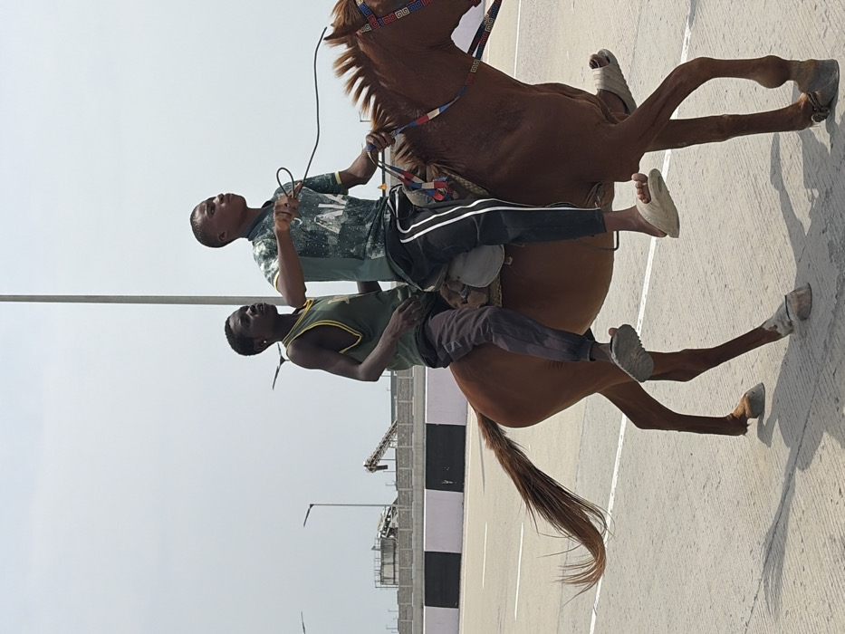 Two individuals are riding a single bay horse on a paved road surface in Igboefon, Nigeria, under a bright, clear sky. The front rider, a male, wears a dark green t-shirt with a white pattern, black track pants with white side stripes, and light-colored sandals. He is positioned on a light-colored saddle, holding dark reins in his right hand. The second rider, a male, is seated behind the first, wearing a green tank top with yellow trim, dark pants, and grey sandals. Both individuals are looking forward and slightly to their right. The brown horse has a darker mane and tail and is equipped with a bridle featuring red, blue, and white decorative elements. The horse's legs are in mid-stride, indicating movement. The road surface is grey with a visible white line. In the background, a black and white striped concrete barrier is present. Beyond the barrier, industrial structures including a conveyor system and concrete installations are visible under the bright sky, along with two tall street light poles.