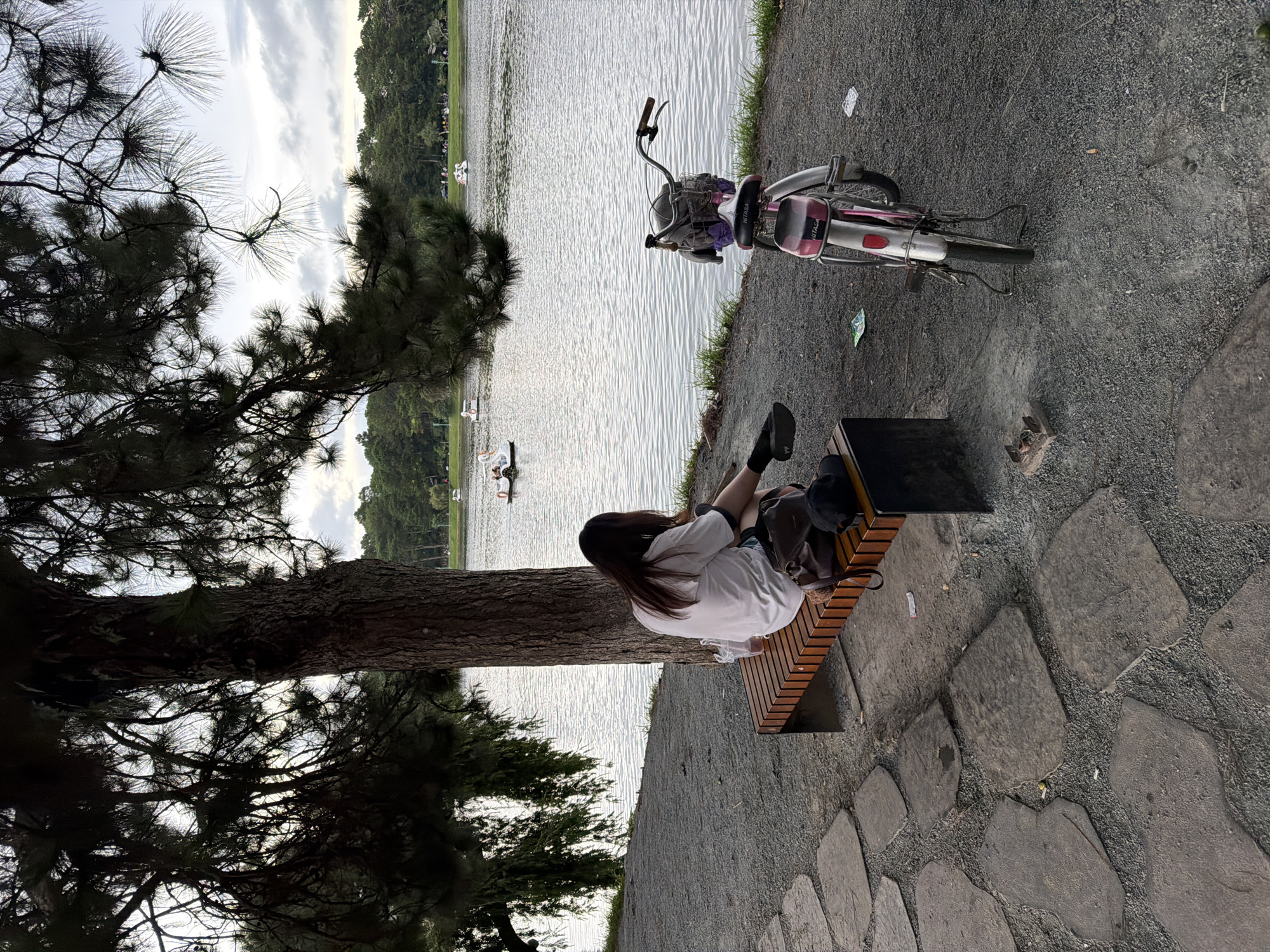 The image captures a serene scene at Xuan Huong Lake in Da Lat, Vietnam. A lone individual is seated on a wooden bench under the shade of a large tree, facing the tranquil lake. The person, with long dark hair, wears a white t-shirt and dark shorts. Beside them on the bench are a black baseball cap and a brown backpack, along with a plastic cup. A pink bicycle is parked nearby, leaning on its kickstand, with a gray basket containing some items. The lake, a prominent feature of Da Lat's landscape, is dotted with several swan-shaped pedal boats, some occupied by people. The background reveals a lush green treeline and a cloudy sky. The ground in the foreground is a mix of gravel and large, irregular stone paving slabs. The overall atmosphere suggests a peaceful afternoon outing by the lake.