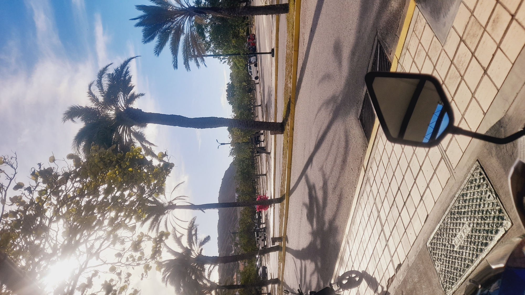 The image depicts a sun-drenched scene in Pedro González, Venezuela, likely a coastal town. The foreground features a tiled pedestrian walkway with a metal grate and the reflective side mirror of a vehicle, showing a reflection of the sky and some overhead structure. To the left, the front wheel of a scooter or motorcycle is partially visible. Beyond the walkway, a paved road curves away, lined with yellow curbs and shadowed by palm trees. In the middle ground, a parking lot is visible with several parked vehicles, including a white SUV and red cars. The background reveals a line of trees and a gentle, sloping hill covered in vegetation, under a bright blue sky with scattered clouds. The overall impression is one of a warm, sunny day in a tropical or subtropical environment.