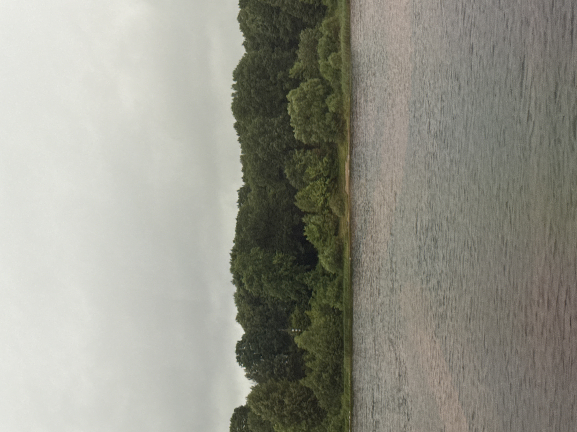 A wide shot captures a tranquil body of water leading to a dense, green treeline under an overcast sky. The water, rippled by a gentle breeze, reflects the muted tones of the sky and vegetation. The treeline, composed of various deciduous and coniferous trees, forms a natural barrier across the horizon, with a small patch of sand visible at the water's edge. The overall atmosphere is one of peaceful seclusion, suggesting an outdoor natural setting. The image is likely taken in a rural or natural area, with no discernable man-made structures apart from a faint, thin, tower-like object barely visible in the center of the treeline.