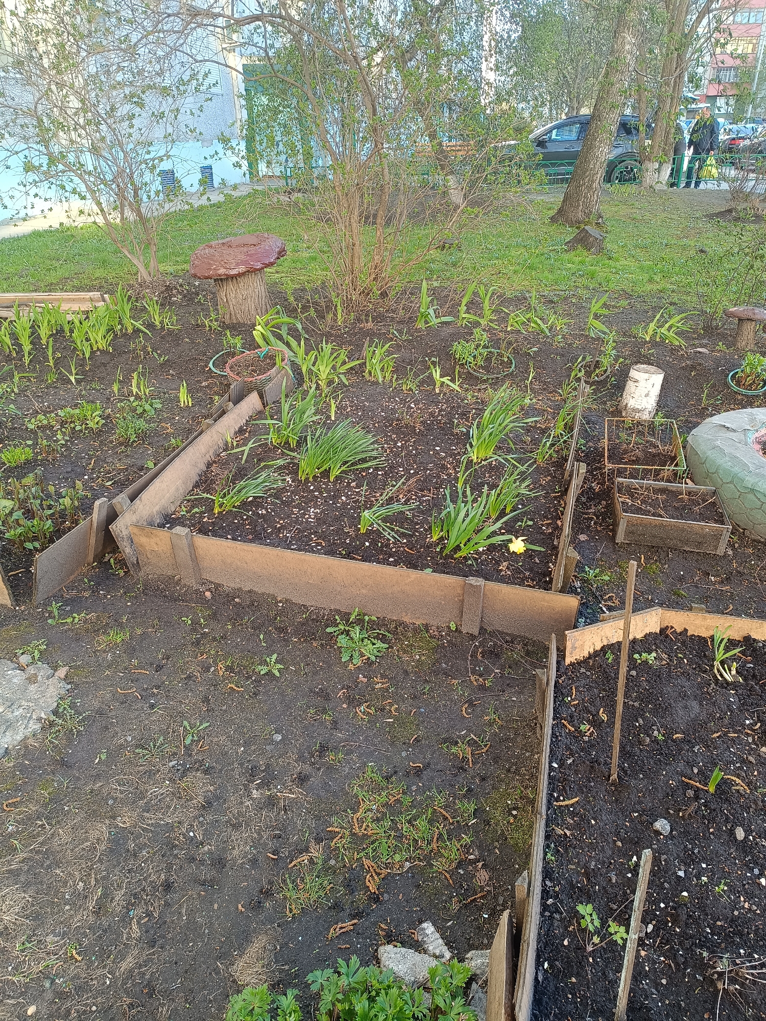 The image depicts a garden area in Tobolsk, Russia. Several raised garden beds constructed from wood and other materials are visible, containing young plants and flowers. A mushroom-shaped garden ornament is present. In the background, there are trees, grass, and buildings. A car and two people can be seen in the background. The ground is mostly bare earth.