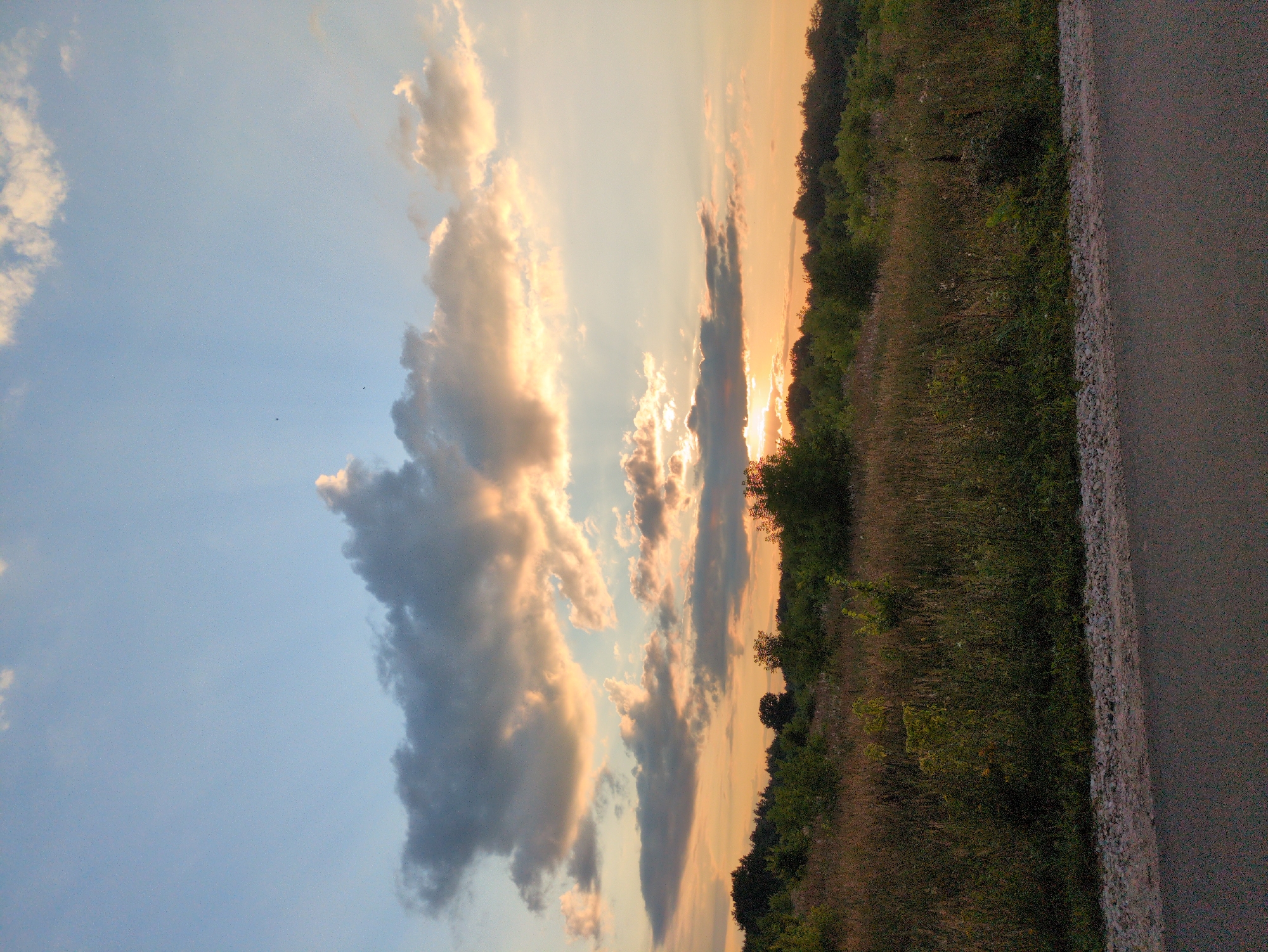 The image depicts a sunset over a grassy field with scattered trees and bushes. The sky is a blend of blue and orange, with dramatic clouds catching the sunlight. In the foreground, a paved road runs along the edge of the field. The scene appears tranquil and natural, suggesting a rural or semi-rural setting. There are no people or animals visible in the image. The overall impression is one of a serene evening in a natural landscape. The location is Kulebaki, Russia.