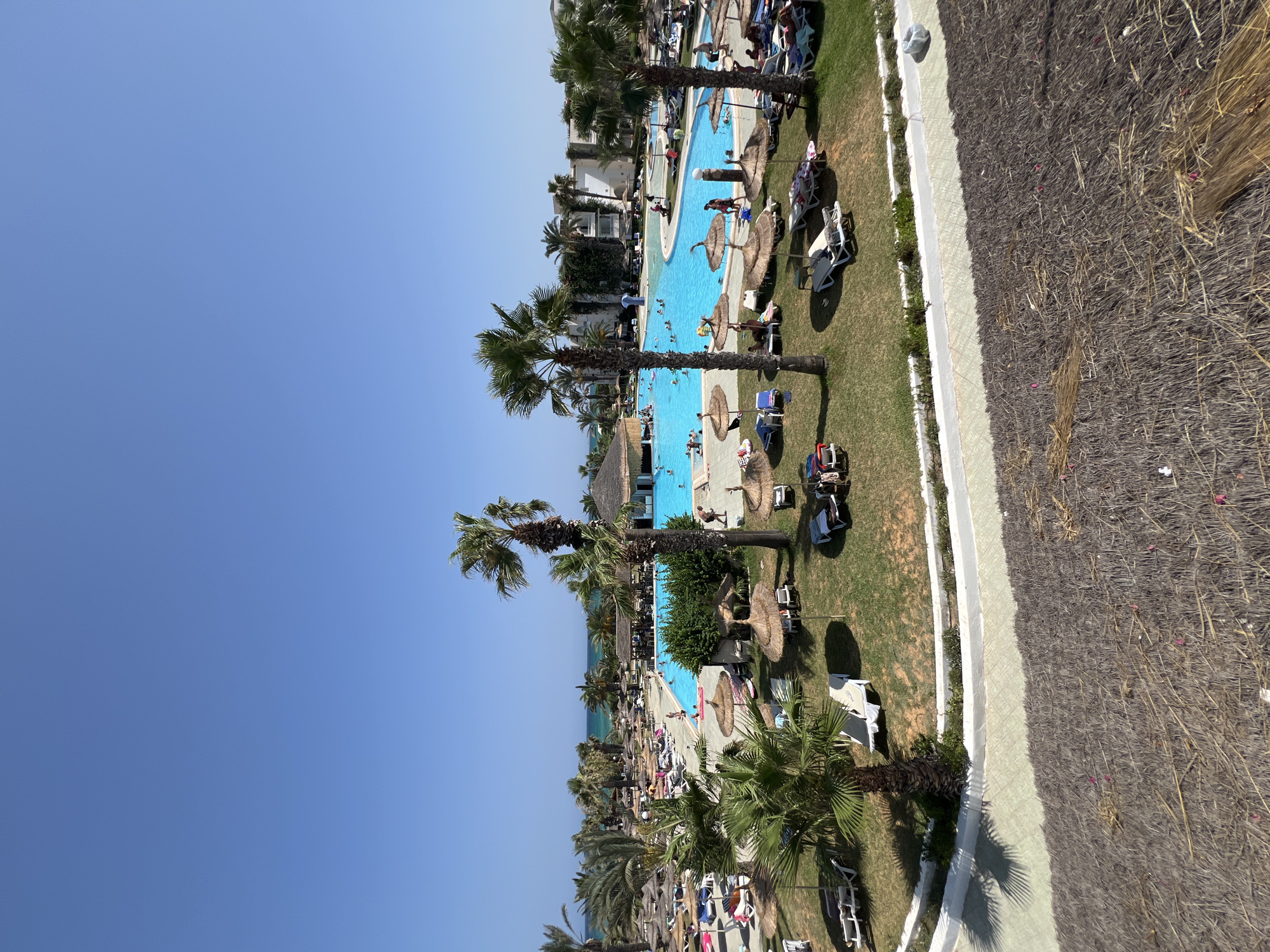 This image shows a lively resort scene in Hiboun, Tunisia, on a clear, sunny day. The focal point is a large, bright blue swimming pool filled with people enjoying the water. Surrounding the pool are numerous lounge chairs and thatched umbrellas, providing shade and relaxation spots for sunbathers. Lush green grass covers the ground, interspersed with palm trees and other tropical foliage, characteristic of a resort environment. In the background, white resort buildings with traditional architecture can be seen, some adorned with greenery. The resort appears to be situated near the sea, with a glimpse of the blue ocean visible in the distance. The overall atmosphere is one of leisure and vacation, with people swimming, lounging, and enjoying the warm weather. The foreground features a textured area covered in dry thatch, possibly a rooftop or an outdoor seating area.
