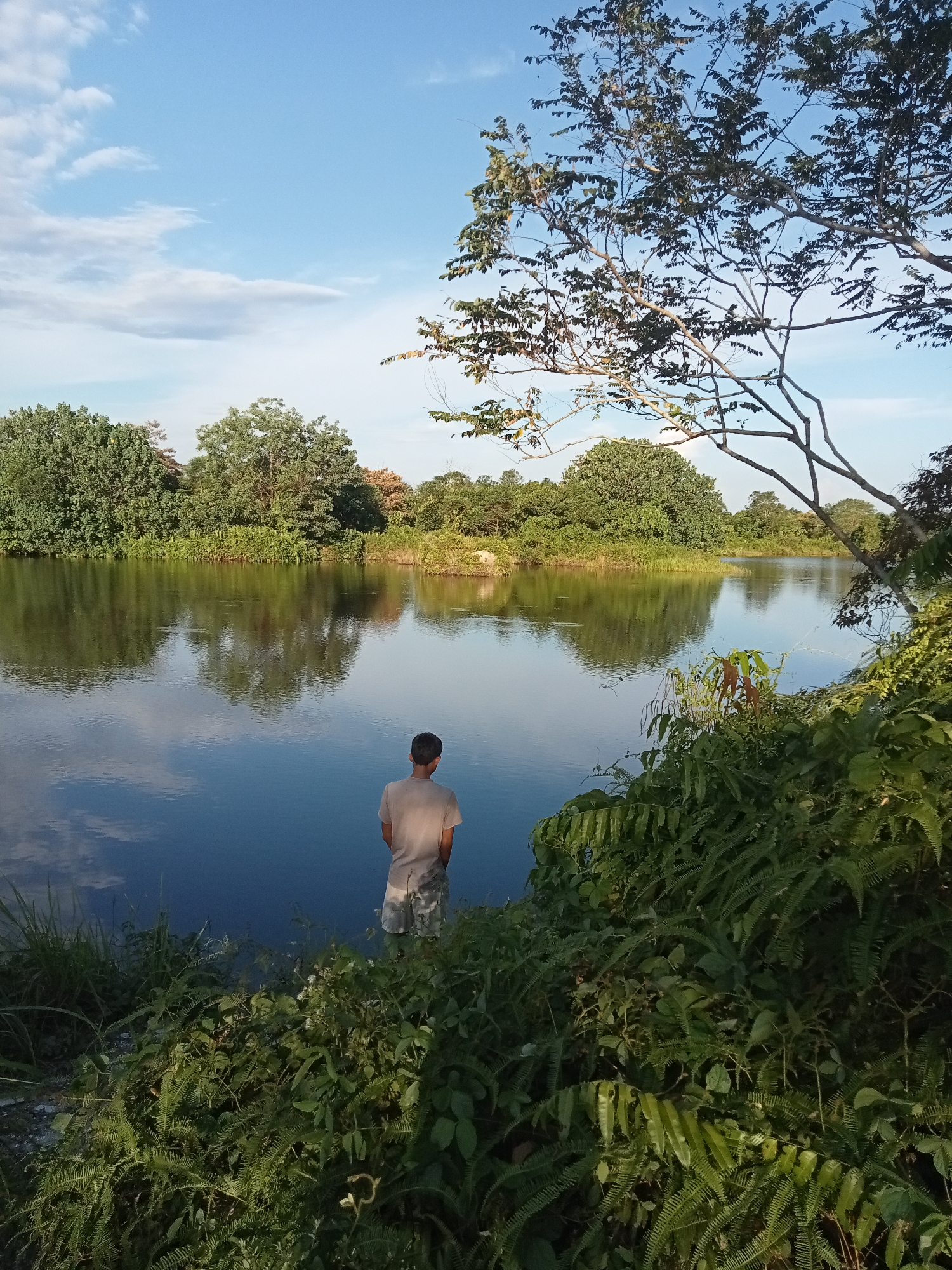 In the city of Kualu, Indonesia, a lone individual stands at the edge of a tranquil body of water, his back to the viewer. He is wearing a light-colored t-shirt and patterned shorts. The water's surface perfectly mirrors the lush green trees and the soft blue sky dotted with wispy clouds that form the background. The foreground is densely vegetated with various shades of green ferns and other plants, creating a natural border between the viewer and the water. The scene suggests a peaceful, natural setting, possibly a riverbank or a lake.
