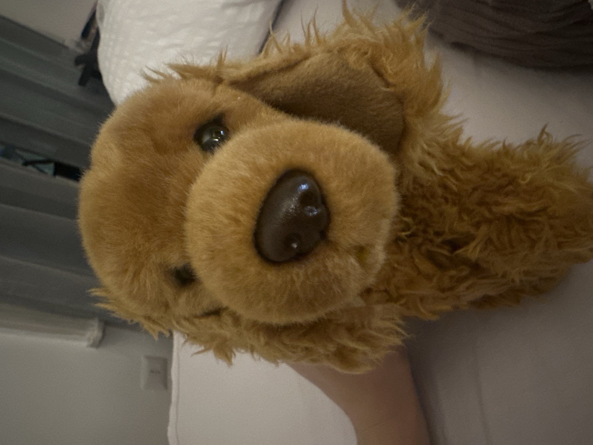 A close-up shot focuses on a brown plush dog toy. The toy has a large, round nose with a darker brown tip. The toy is placed on a bed covered with white and grey sheets. The background includes a glimpse of a wall, suggesting an indoor setting. There is no indication of the location being in Milan, Italy.