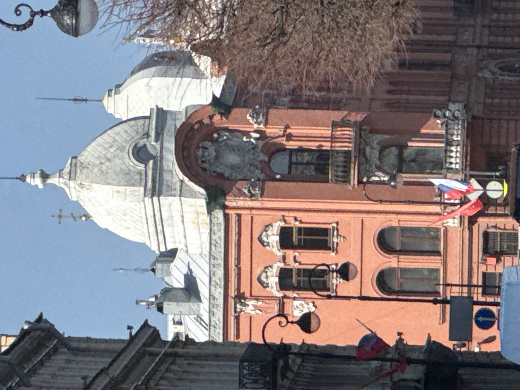 A low-angle shot captures a building in Saint Petersburg, Russia. The structure features a large, domed roof on the left side, painted in light shades. Adjacent to the dome, a red brick building with arched windows and ornate details. Streetlights are visible in the foreground, along with traffic signs. Russian flags are on the red brick building. A portion of bare tree branches appears at the top of the frame, partially obscuring some of the architecture.