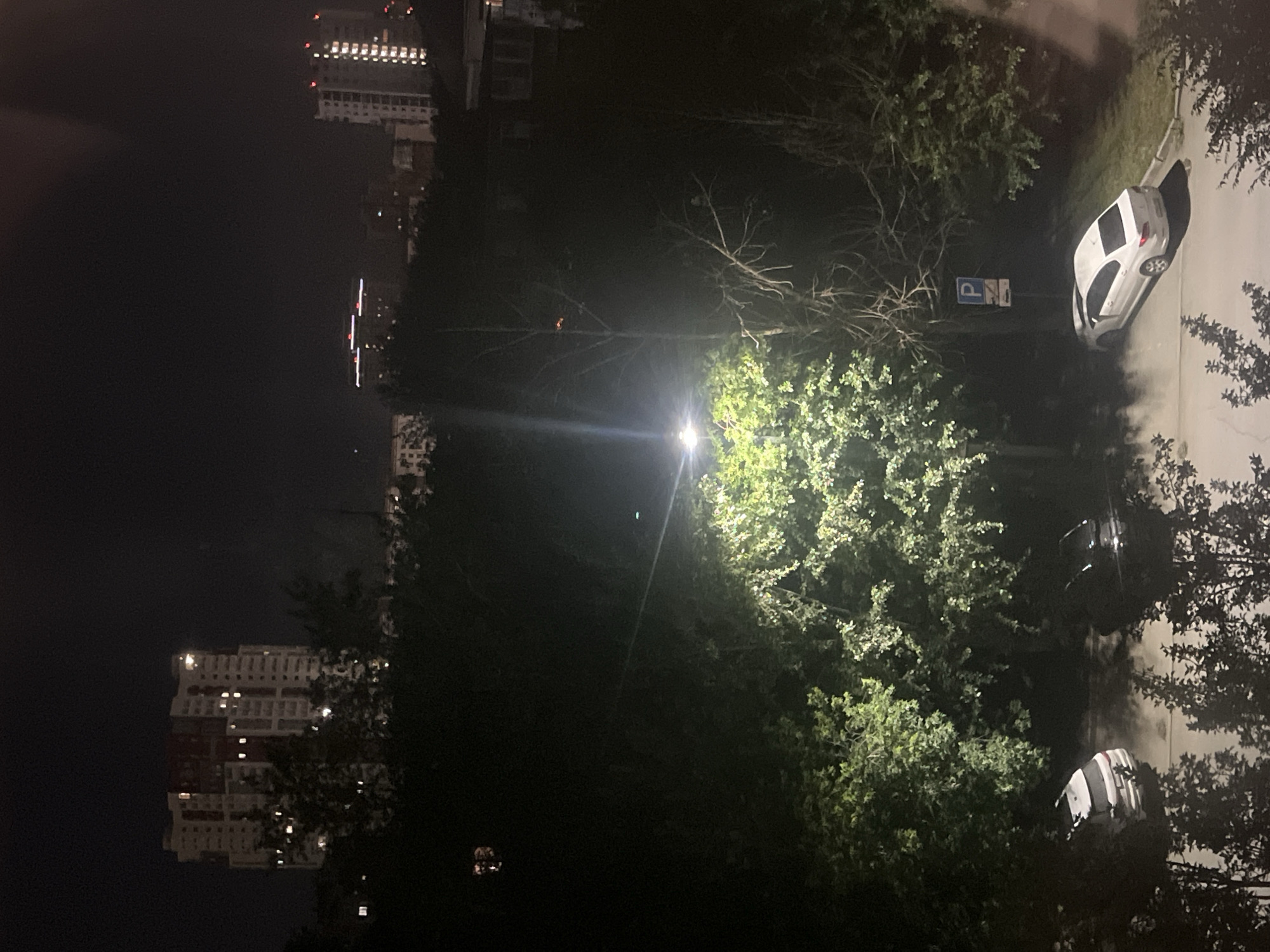 The image depicts an urban nighttime scene, likely in Chelyabinsk, Russia, characterized by artificial lighting and dark shadows. In the background, several multi-story apartment buildings are visible, illuminated by interior lights. One prominent building in the left mid-ground is light-colored with red accents on its upper floors and numerous lit windows. Further in the background, other buildings show lights, some with distinctive red top illumination.

The foreground and mid-ground are dominated by trees and vegetation, some of which are brightly lit by a streetlamp positioned in the center of the frame. This lamp casts a strong glow on the surrounding foliage and a nearby bare tree with intricate branches. Below the trees, a paved area, possibly a street or parking lot, is visible. Two cars are parked on this surface: a white SUV on the left and a white sedan on the right, which is parked next to a blue and white parking sign. The reflections of the trees and streetlamp are visible on the wet or reflective surface where the cars are parked, suggesting recent rain or a damp environment. The overall atmosphere is one of a quiet urban night, with the artificial lights contrasting with the darkness of the sky and unlit areas.