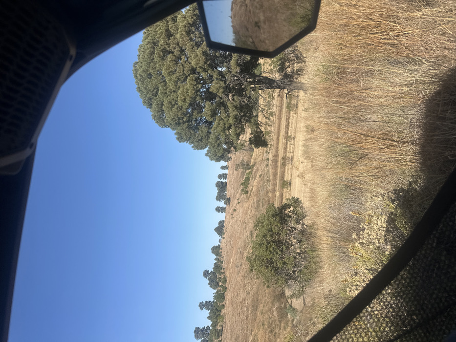 View from inside a vehicle, possibly an ATV, shows a dry, grassy hillside under a clear blue sky. A line of trees flanks the top of the hill. A larger, isolated tree stands closer, next to a dirt path. Dry brush fills the foreground. A side mirror is partially visible in the frame. The vehicle's interior components frame the scene.