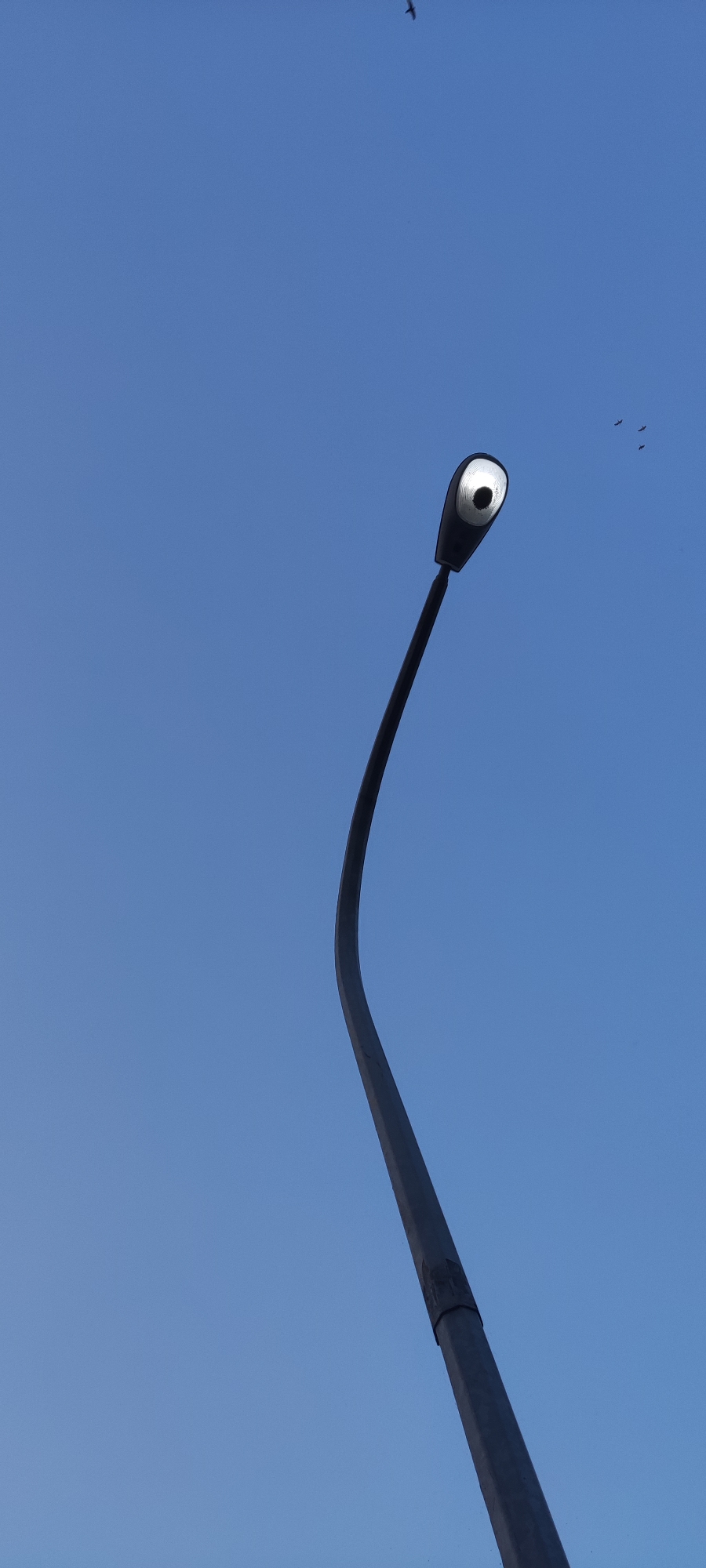 An upward view of a black, curved lamppost against a clear blue sky. The lamppost features a modern design with a sleek, dark gray pole that curves upwards and to the right. At the top, a black lamp housing is attached, with a reflective, white interior and a dark, circular opening for the light bulb. A few small, dark birds are visible in flight in the upper right portion of the sky. The scene is devoid of human presence and appears to be an outdoor setting, possibly in an urban or park area. No specific location in Pakusamben, Indonesia can be determined from the image alone.