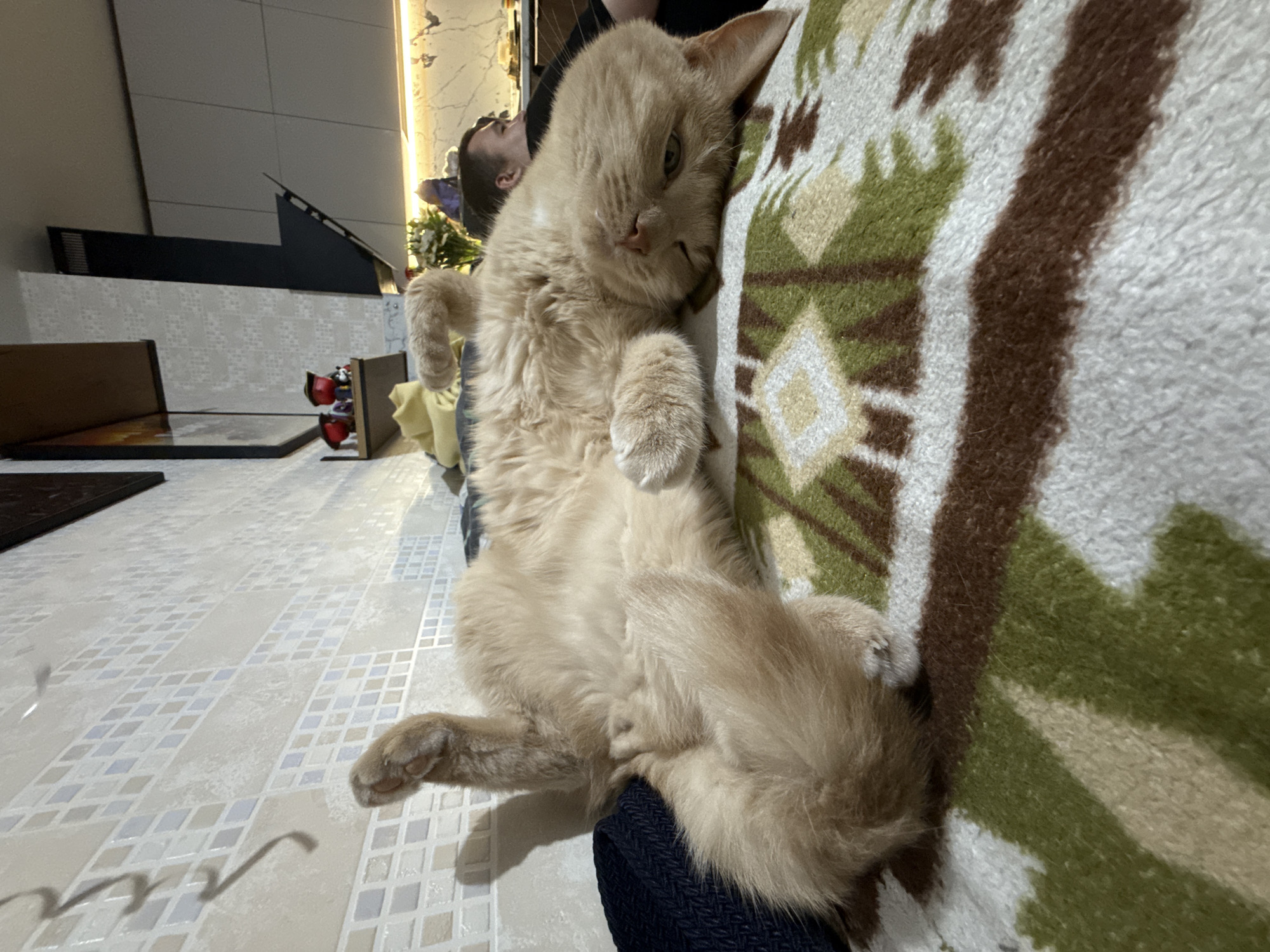 A ginger cat is sprawled on its back on a patterned blanket. The cat has light orange fur and is lying on a soft surface. In the background, a person is visible, seemingly looking at their phone, and kitchen cabinets and a stove hood are present. The wall behind the cat is tiled with small square tiles. The scene appears to be indoors, possibly in a kitchen or living area.