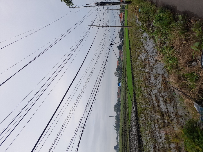 The image shows a flooded paddy field in the rural outskirts of Kecamatan Tanggulangin, Indonesia (latitude: -7.503, longitude: 112.726). The field is located near a road and is bordered by a line of vegetation. The field is partially flooded with water, and the ground is covered in mud. There is a large number of power lines strung across the sky above the field, with numerous utility poles in the distance. In the background, several houses and a tall structure are visible, indicating human presence in the area. The sky is overcast with a light gray color. The scene appears to be taken during the daytime, although the absence of direct sunlight suggests overcast conditions. There are no people visible in the scene. The image suggests a rural setting with a focus on infrastructure and agriculture.