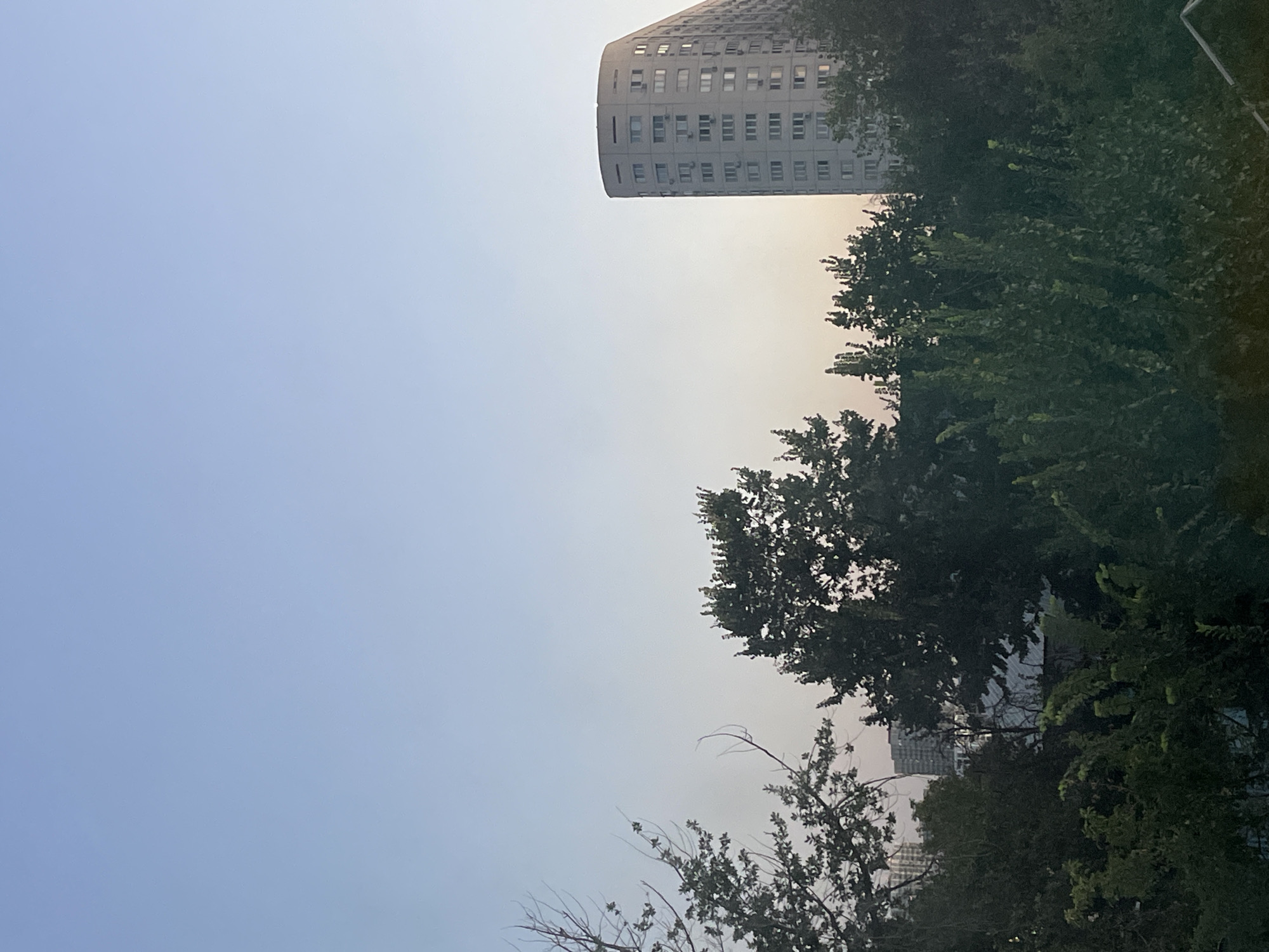 The image captures a view of a city skyline with a large, curved residential building dominating the right side. The building is light gray and has numerous windows. In the foreground and midground, a dense arrangement of trees obscures parts of the view. The sky is a clear, pale blue, transitioning to a lighter hue near the horizon, suggesting it might be early morning or late afternoon. In the far distance, other buildings are faintly visible through the trees and haze. The scene is set in Almaty, Kazakhstan.
