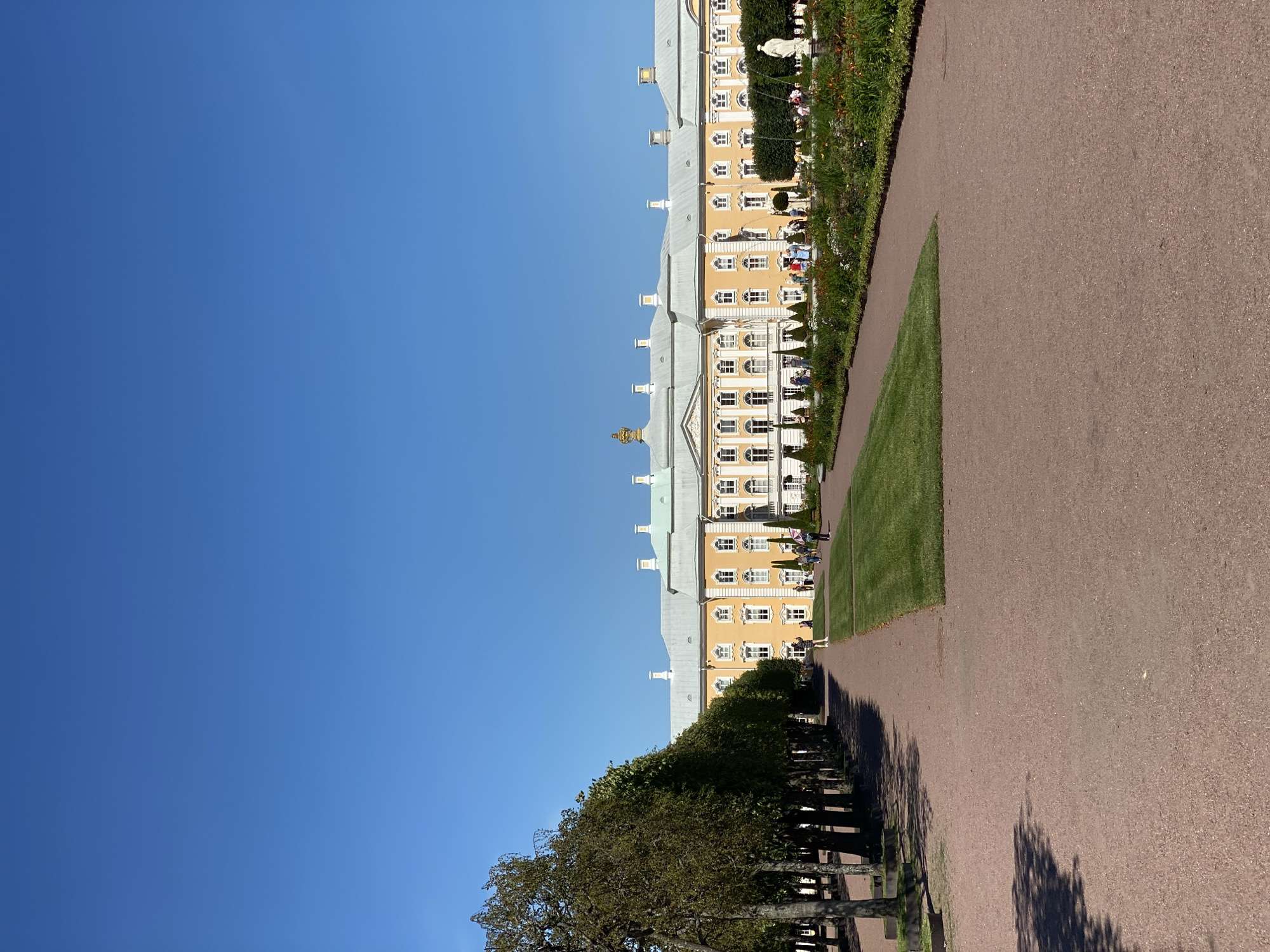 This is a wide-angle, eye-level shot of the Grand Palace at Peterhof, Russia, under a clear blue sky. The palace, painted a bright yellow with white trim and accents, dominates the background. It features multiple windows, decorative elements, and a prominent gold crown atop a central dome. In front of the palace is a neatly manicured lawn, bordered by flower beds filled with colorful blooms and green foliage. To the left of the lawn, a tree-lined avenue stretches towards the palace, with the trees pruned into a formal, somewhat dense shape. A gravel pathway runs diagonally across the foreground and extends towards the palace. Several individuals are visible on the pathways and near the palace, appearing to be tourists or visitors. Some are walking, while others stand in small groups. The overall scene depicts a sunny day in a well-maintained park or garden setting, highlighting the grandeur of the palace and its surroundings.