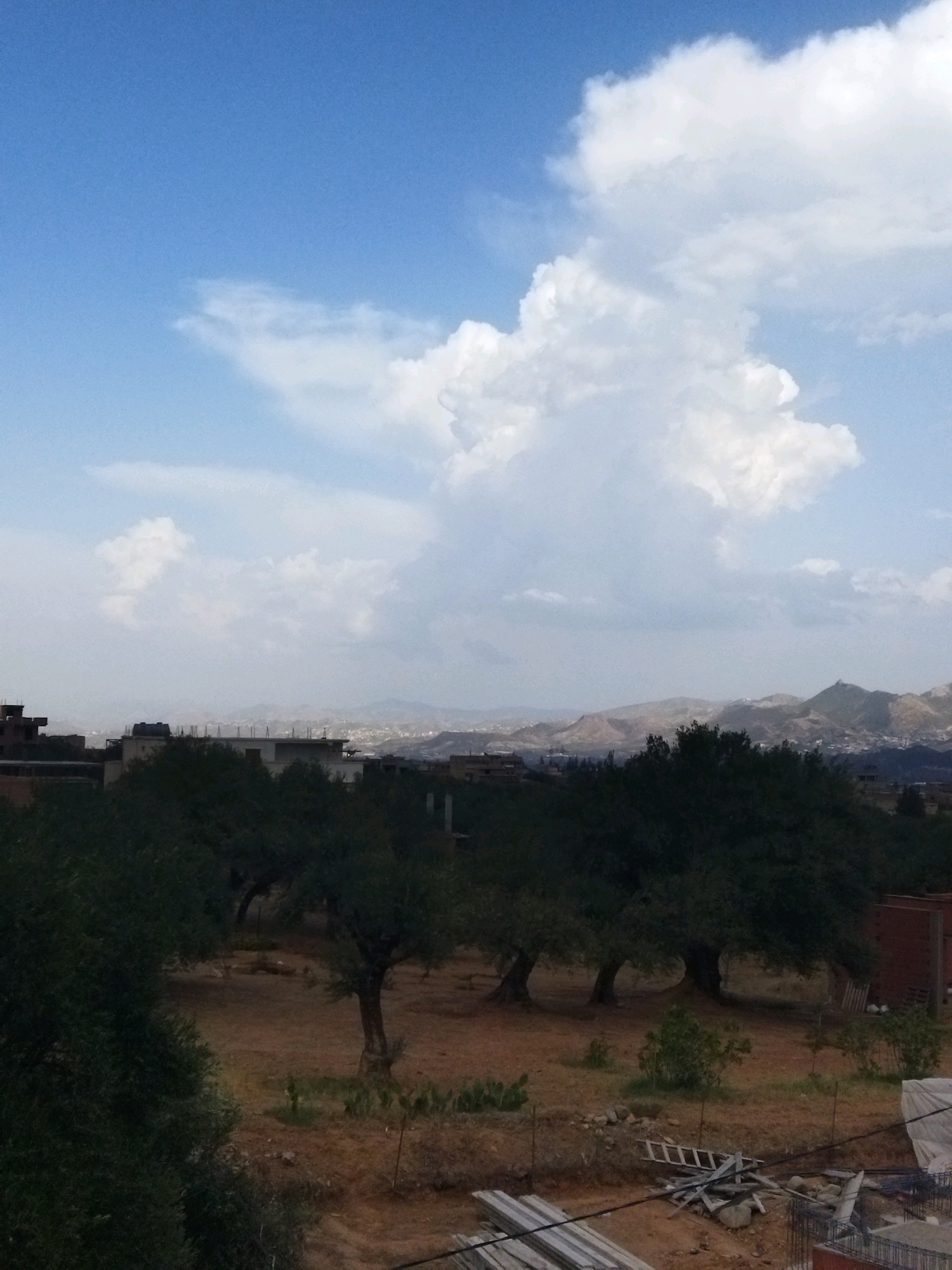 The image captures a daytime scene of a rural or semi-rural area, likely on the outskirts of Chorfa, Algeria. The sky is predominantly blue with large, white, puffy clouds dominating the upper portion of the frame, suggesting fair weather with potential for some cloud build-up.
In the middle ground, a cluster of mature trees with dark green foliage are spread across a reddish-brown, somewhat arid landscape. These trees appear to be established, with visible trunks and branches. The ground beneath them is dry and uneven, with sparse vegetation and some rocky outcrops.
Beyond the trees, a town or village is visible in the distance, nestled against a backdrop of rolling hills and mountains. The buildings appear to be of moderate size and density, suggesting human habitation. The mountains themselves are a muted brown and green, possibly indicating dry vegetation or rocky terrain.
In the foreground, there is evidence of construction or landscaping work. Piles of lumber and building materials, including what appears to be rebar and concrete forms, are scattered on the ground. A wooden ladder is propped against some debris. Some scattered cactus plants are also visible on the ground. The overall impression is one of a developing area with a natural, somewhat rugged environment.