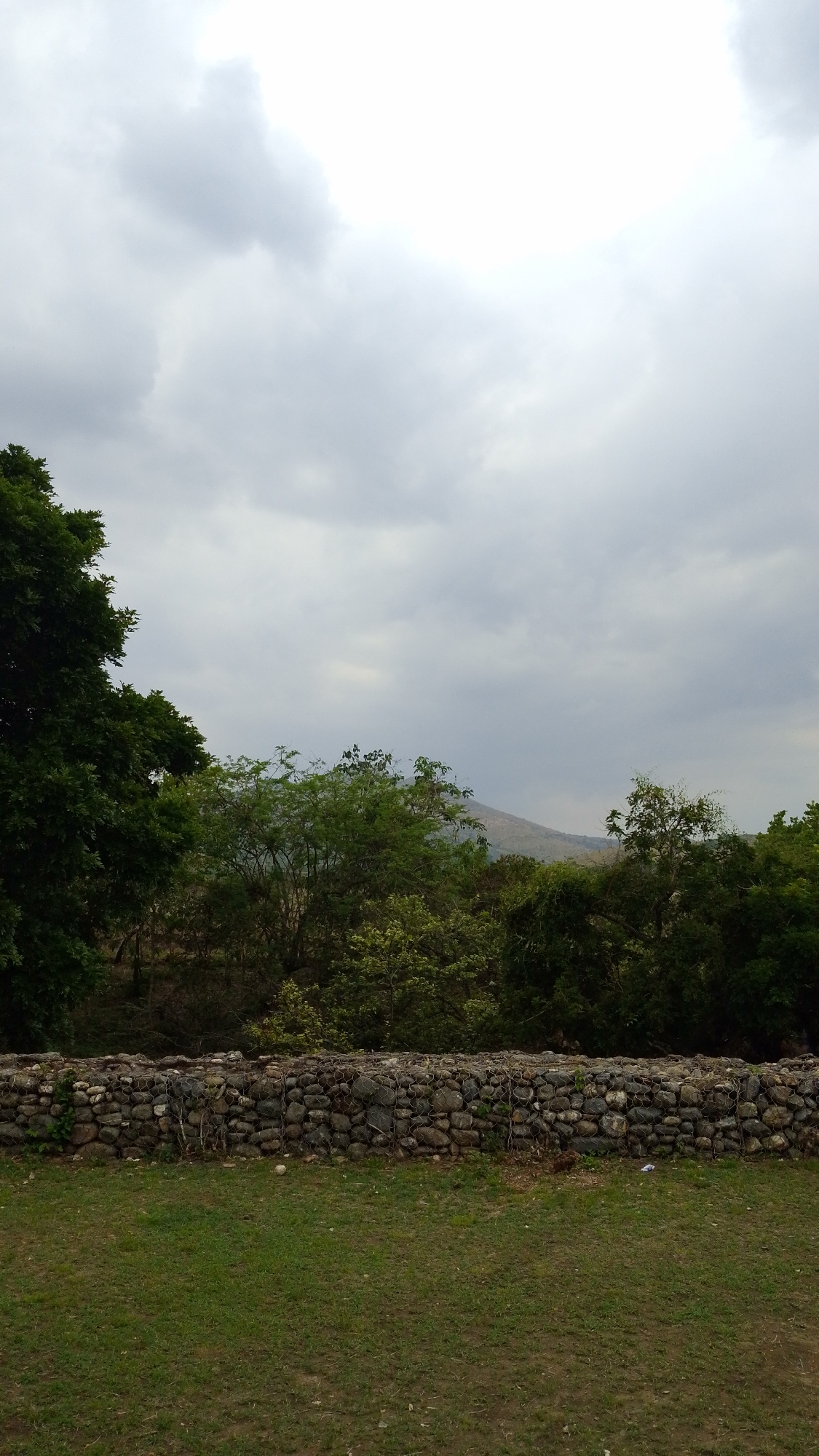 The image depicts a natural landscape likely situated in Tinaquillo, Venezuela, recognizable by its vegetation and mountainous backdrop. A low retaining wall, constructed of stones held together by wire mesh, separates a grassy foreground from a dense line of trees and shrubs. A mountain can be seen in the distance, partially obscured by the foliage. The sky is overcast, suggesting a cloudy or potentially rainy day. No people or animals are visible in the image. The scene evokes a sense of rural tranquility.