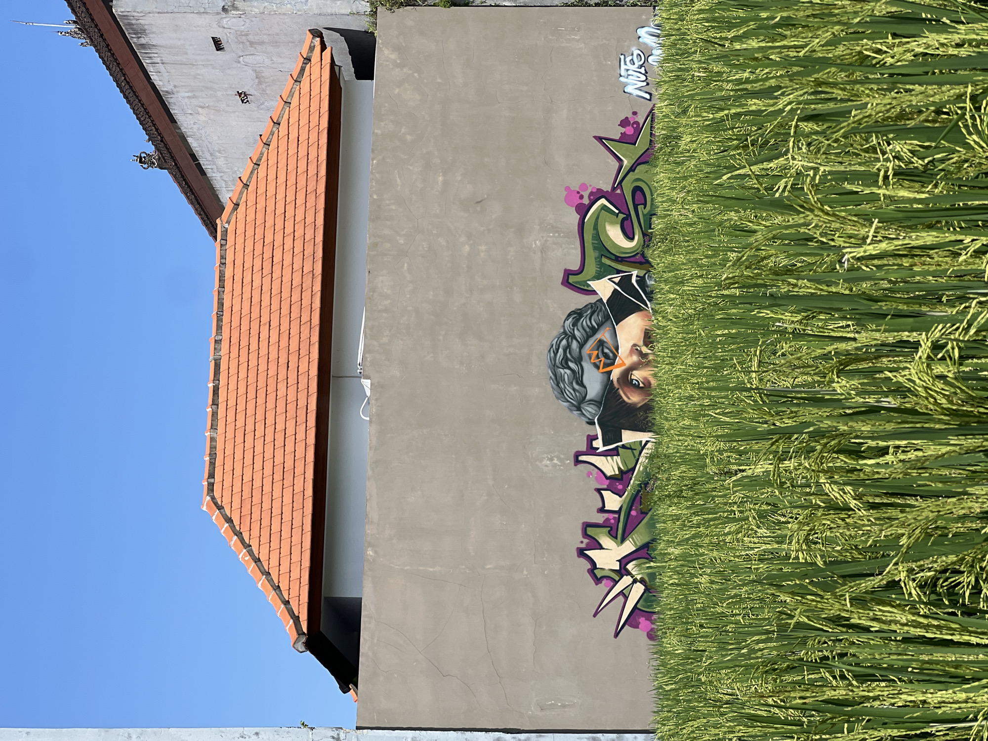 The image captures a scene in Sukawati, Indonesia. A structure with a terracotta tiled roof juts into the frame from the left. Adjacent to this, a grey concrete wall is adorned with graffiti art, featuring a partial human face amidst stylized letters and shapes in green, purple, black, and white. Thick, vibrant green rice paddies occupy the right side of the frame, partially obscuring the graffiti and extending vertically. The sky is clear and blue in the background.