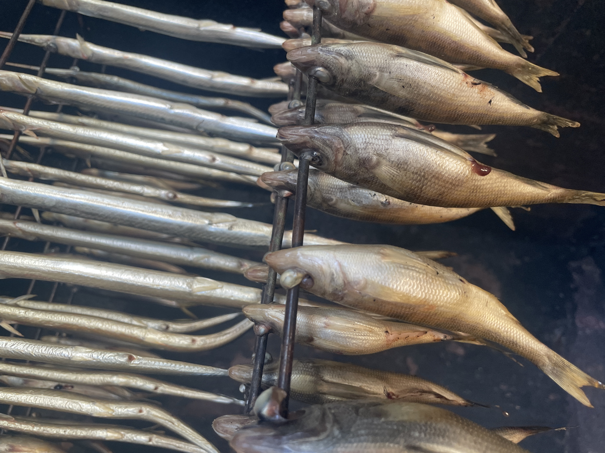 The image displays a dense arrangement of numerous fish undergoing a processing method, likely smoking or drying, within a dark and hazy environment. Multiple rows of fish are visible, hanging vertically on metal rods or skewers.
Two main types of fish are evident. On the left side of the frame, there are many slender, elongated, silvery fish with noticeable snouts, skewered through their heads. These are tightly packed in parallel rows. On the right side, the fish are shorter, wider, and exhibit a golden-brown coloration with visible scales. These are also skewered through the head, with some showing small spots of reddish-brown residue, possibly blood from the skewering.
A pervasive haze, consistent with smoke or steam, envelops the scene, indicating an active smoking or drying process. The dark, indistinct background suggests an enclosed space, such as a smokehouse or a large oven. No individuals or text are visible. The setting points to a traditional or commercial operation focused on preserving fish, possibly in Olginka, Russia.