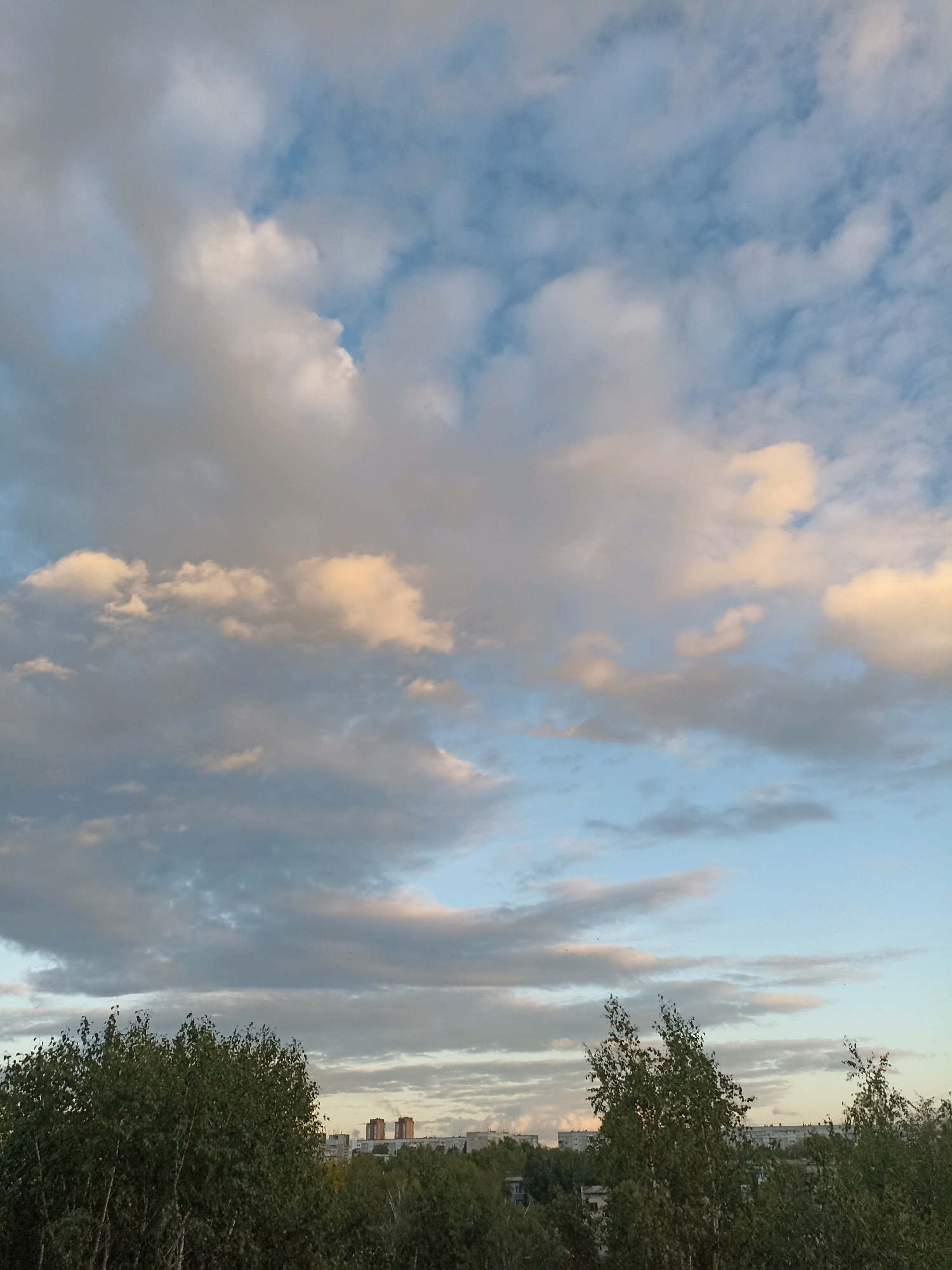 This is a vertical, medium-shot, outdoor photograph capturing a view of the sky and a cityscape in Novosibirsk, Russia. The sky occupies the majority of the frame, filled with a variety of clouds. Some clouds are white and fluffy, while others are darker gray and appear more diffused. The sunlight catches some of the clouds, casting a warm, golden-pink hue on their edges, suggesting it is either sunrise or sunset. The lower portion of the image shows a dense line of green trees, obscuring much of the ground. Behind the trees, a city skyline is visible, characterized by several buildings, including some taller, modern apartment buildings and lower-rise structures. The overall lighting indicates it is daytime, with the sun likely low on the horizon.