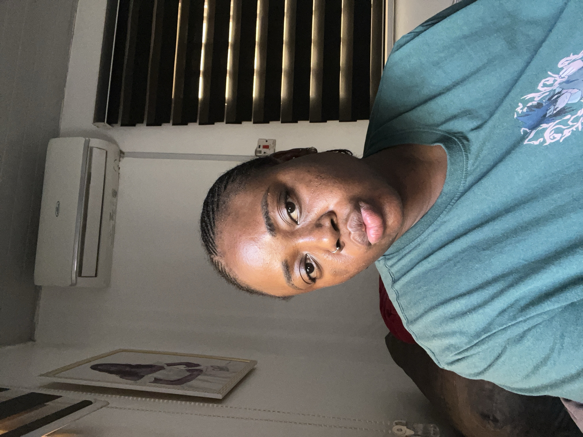 A medium shot captures a young Black woman from the chest up, posed in a selfie-style frame. She has braided hair and wears a green t-shirt with a graphic print on the front. Her facial expression is neutral, with her lips slightly pursed. In the background, a white air conditioning unit is mounted on the wall above horizontal blinds. A framed picture of a person is visible on the left wall. The scene appears to be indoors, likely in a residential setting, possibly within a city environment like Abuja, Nigeria, given the presence of typical urban interior decor.
