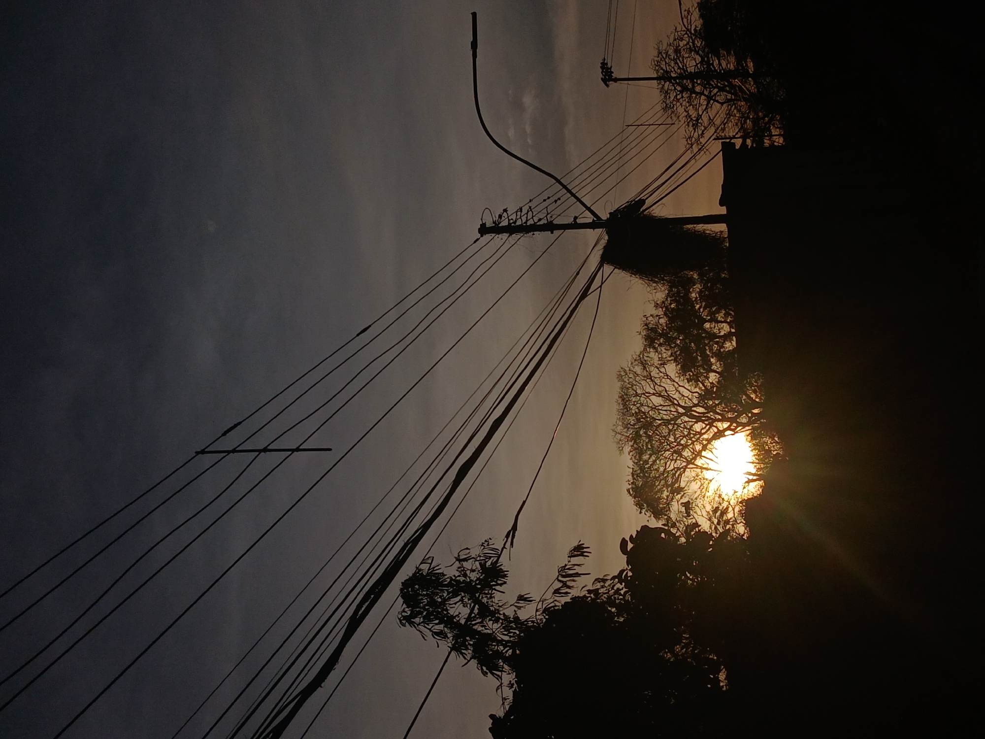 The image depicts an outdoor scene in Altagracia, Venezuela, captured at dusk. The sun is positioned low in the sky, partially obscured by trees, creating a silhouette effect against the sky. Power lines and utility poles are prominent, extending diagonally across the frame. The environment consists of trees and vegetation, also rendered as silhouettes. The sky is overcast, transitioning from a darker shade at the top to a lighter hue closer to the horizon. There are no discernible people or interactions visible in the image.