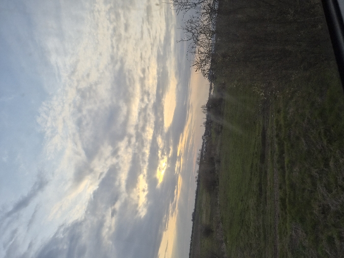 An outdoor scene in Chernichevo, Bulgaria, depicting an expansive field under a cloudy sky during what appears to be late afternoon or early evening. The upper sky is light blue with diffuse, primarily grey and white stratocumulus and altocumulus clouds. Towards the lower horizon, a faint yellow-orange glow indicates the obscured sun. The midground features a large, uneven expanse of green grassland with scattered patches of darker earth or dormant vegetation and sparse, bare deciduous bushes or small trees. In the far distance, indistinct structures, possibly buildings or industrial elements, are visible on the horizon line, with a hint of a body of water or reflective surface further to the right. The immediate foreground on the right is dominated by a dense cluster of dark, leafless bushes. A dark, horizontal line at the very bottom suggests the image was captured from behind a window frame. No individuals, animals, or explicit actions are present.
