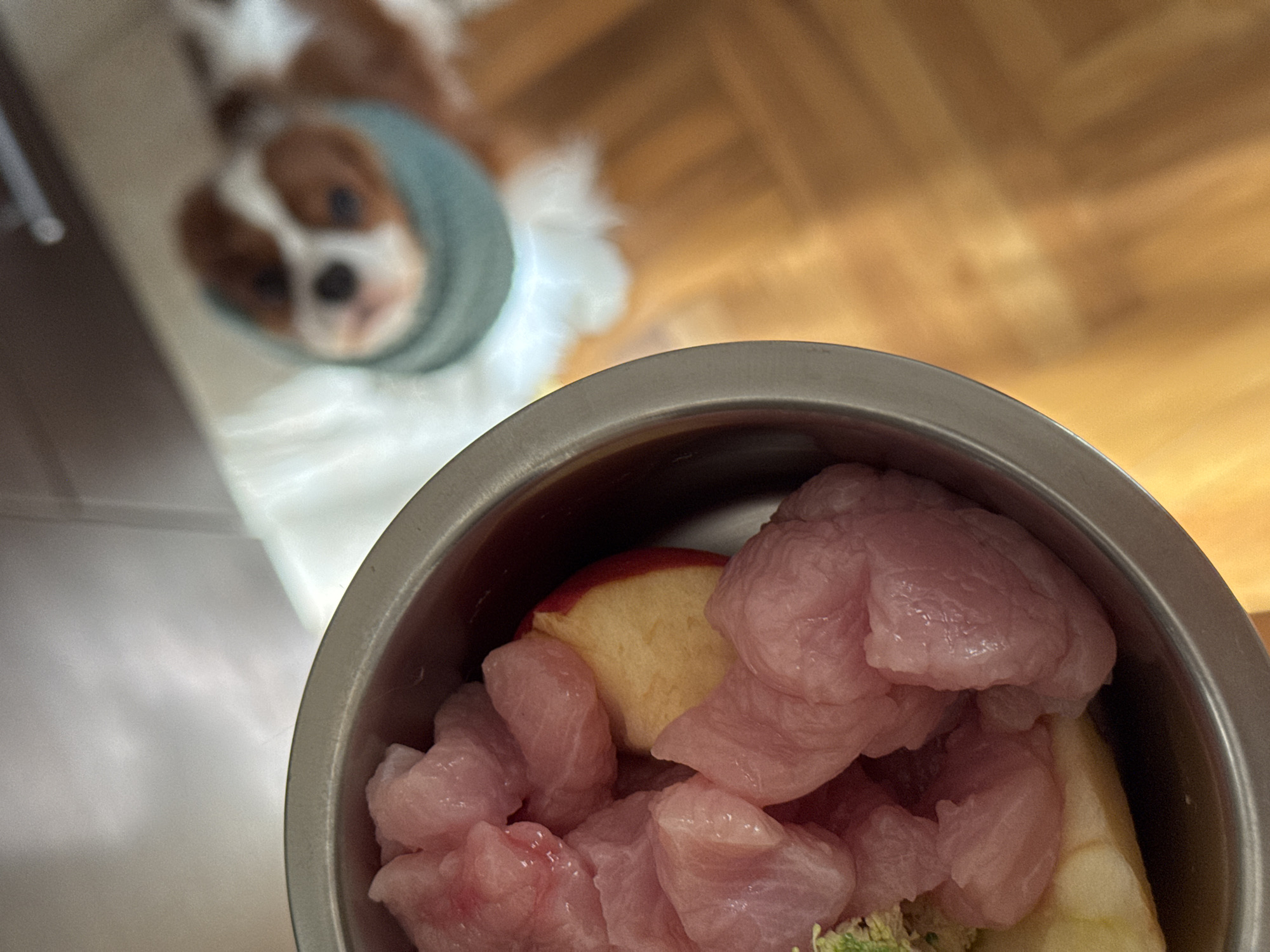 A dog wearing a blue collar is out of focus and in the background of a close-up shot of a silver bowl of raw meat and fruit pieces. The meat is a light pink color and cut into small chunks. The fruit pieces are yellow and red. The background also includes a wood-like surface with no additional details available. The city of Budva, Montenegro, is not evident in this image.