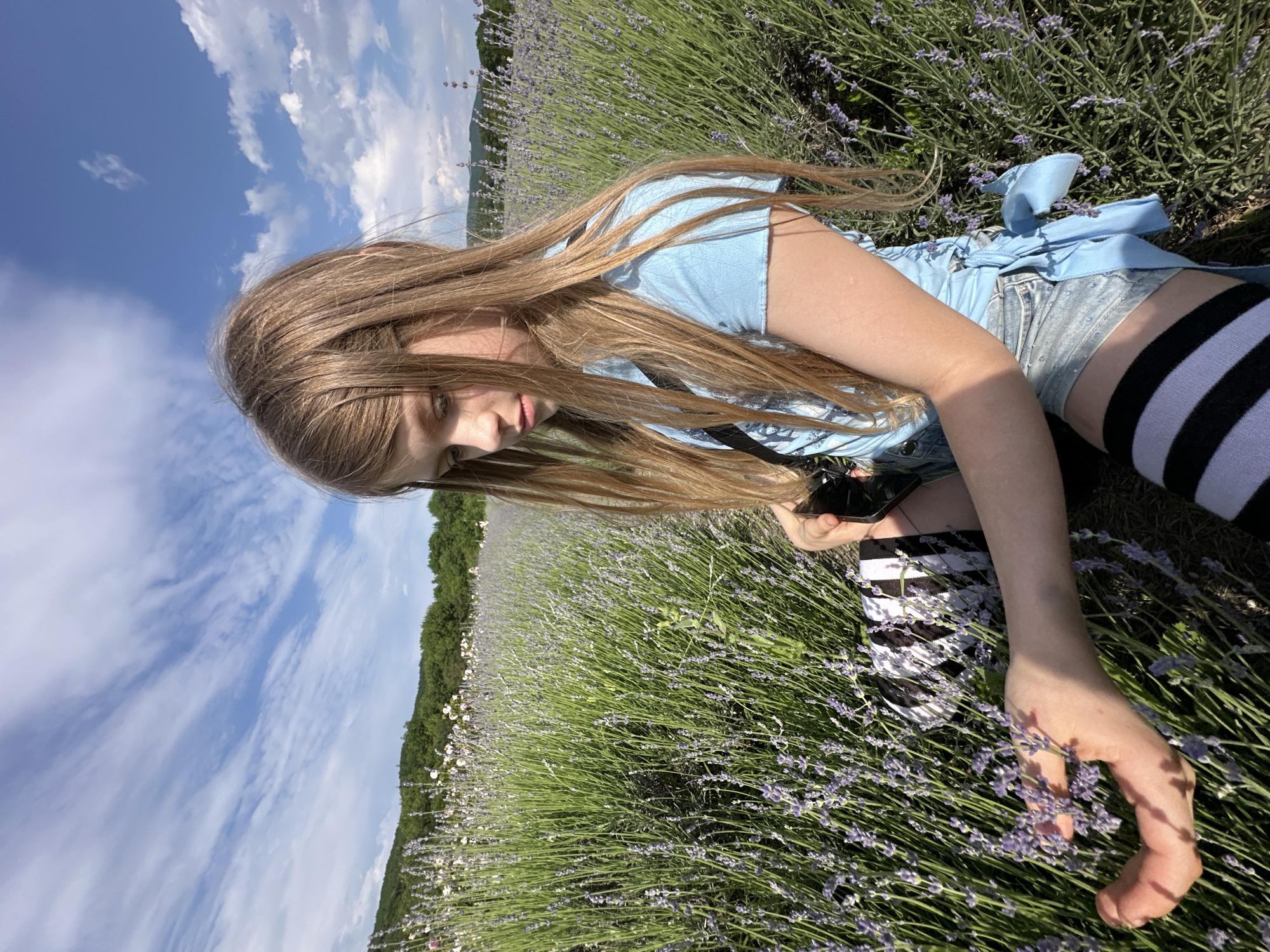 A young girl with long blonde hair sits in a lavender field under a blue sky with white clouds. She is wearing a light blue shirt, denim shorts, and black and white striped socks. Her right arm is extended, her hand reaching out to touch the lavender flowers. A phone is visible in her left hand. The field is dense with lavender plants, with a line of trees and hills in the background. The image appears to be taken outdoors on a sunny day.