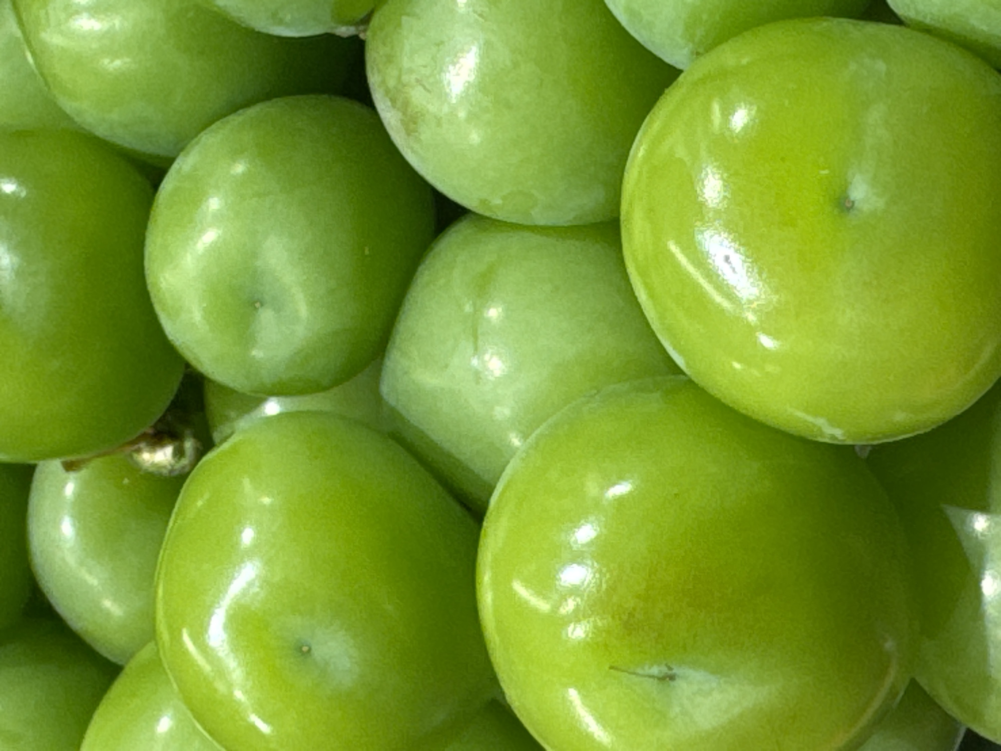 This media file is a close-up, overhead shot of a cluster of ripe, green grapes. The grapes are plump and round, with a smooth, slightly waxy surface that reflects the light. Some grapes have small, darker blemishes or imperfections, but overall they appear fresh and healthy. The lighting suggests a bright, possibly natural light source, creating highlights and shadows that emphasize the rounded shapes of the fruit. The composition is entirely focused on the grapes, with no background visible, creating an intimate and detailed view of the fruit's texture and color. There is no discernible activity or event taking place, as the image is a still life. No people, text, or specific location cues are visible, suggesting the image is a generic shot of grapes rather than depicting a specific event or place in Moscow, Russia. The overall impression is one of freshness and abundance.