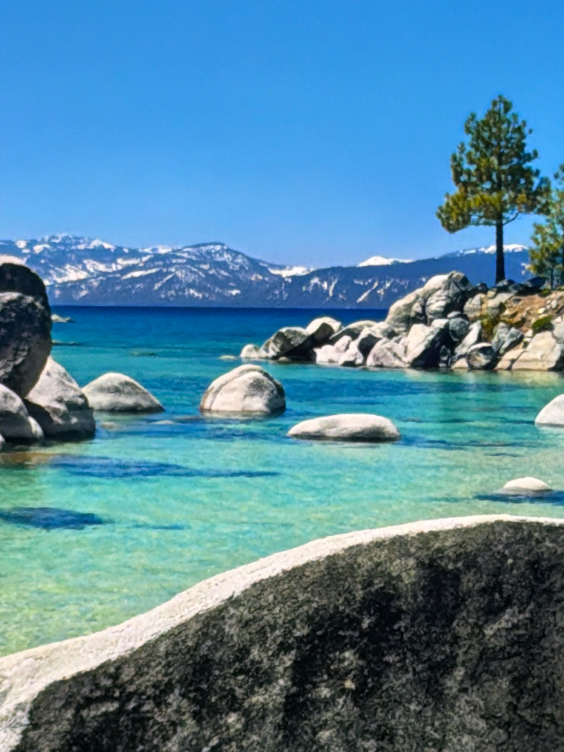 The image depicts a serene natural landscape featuring a crystal-clear turquoise body of water, likely a lake or ocean, with numerous smooth, grey boulders scattered throughout. In the background, a range of majestic mountains, partially covered in snow, underpins a vast, bright blue sky. A solitary pine tree stands tall on a rocky outcrop near the water's edge. The foreground is dominated by a large, dark boulder, its textured surface contrasting with the smooth stones in the water. The overall scene evokes a sense of tranquility and natural beauty. The location is not in the city of Kafr Yasif, Israel.