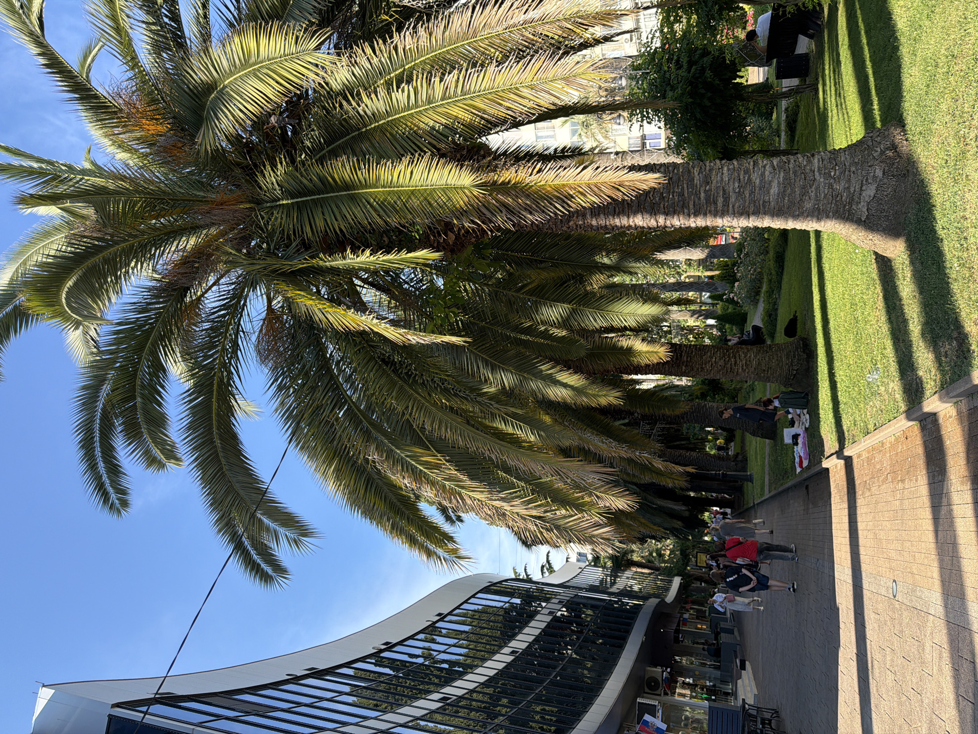 The image depicts a street scene in Sochi, Russia, featuring a paved pedestrian walkway lined with palm trees and a modern building with a curved, glass facade. Several people are walking along the pathway, with two individuals in the foreground wearing dark t-shirts and shorts, and another in a red shirt and dark pants. On the right side of the image, a grassy area with more palm trees and benches is visible. One person is seated on a bench, looking away from the camera. The sky is clear and blue.