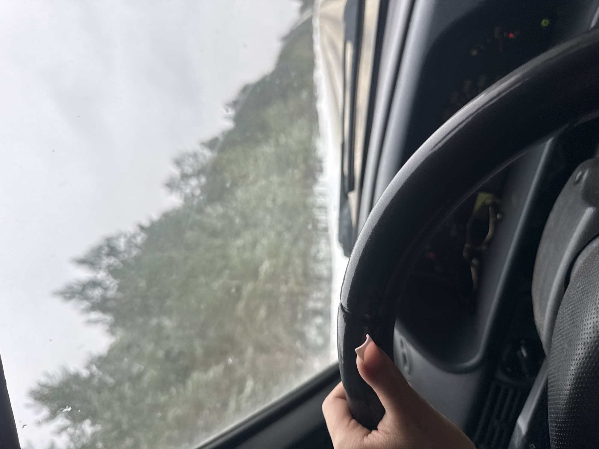 The image shows an interior view from a vehicle, focusing on the steering wheel held by a person's hand. Outside the window, vegetation is visible, blurred by what appears to be rain or mist. The dashboard and some indicators are visible in the car's interior. While the image gives a general impression, there is nothing within the frame to confirm the location specifically as Chaikovsky, Russia.