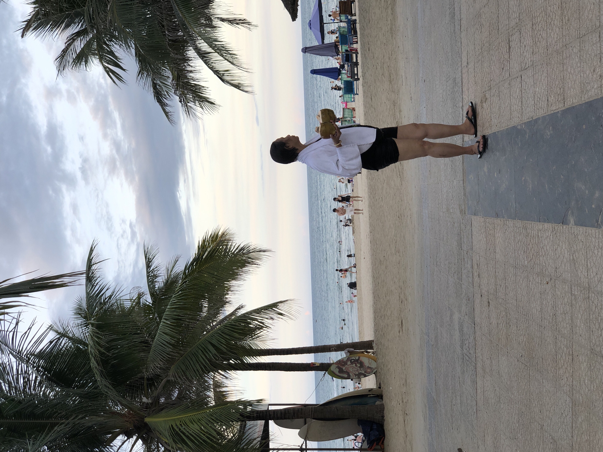 The image depicts a casual scene on a beach in Da Nang, Vietnam. The primary subject is a person standing on a paved walkway, holding two coconuts. They are wearing a white, possibly terrycloth, shirt and black shorts, and black flip-flops. The person is looking upwards and to their left, with their head tilted back.
Behind the person, the beach stretches out towards the ocean. The sand is a light beige color, and the water appears calm and blue, with gentle waves. Several other people are visible on the beach, some wading in the water, others sitting on beach chairs or walking along the shore. Beach umbrellas, in shades of blue and purple, are dotted across the sand, indicating a typical beach resort setting.
In the foreground, on the left side of the image, are the fronds of a palm tree, with its leaves dark green against a cloudy sky. The sky itself is overcast with soft, diffused light, suggesting it is either early morning or late afternoon. The paved walkway where the person stands is made of textured concrete tiles. The overall mood is relaxed and summery. There is no visible text in the image.