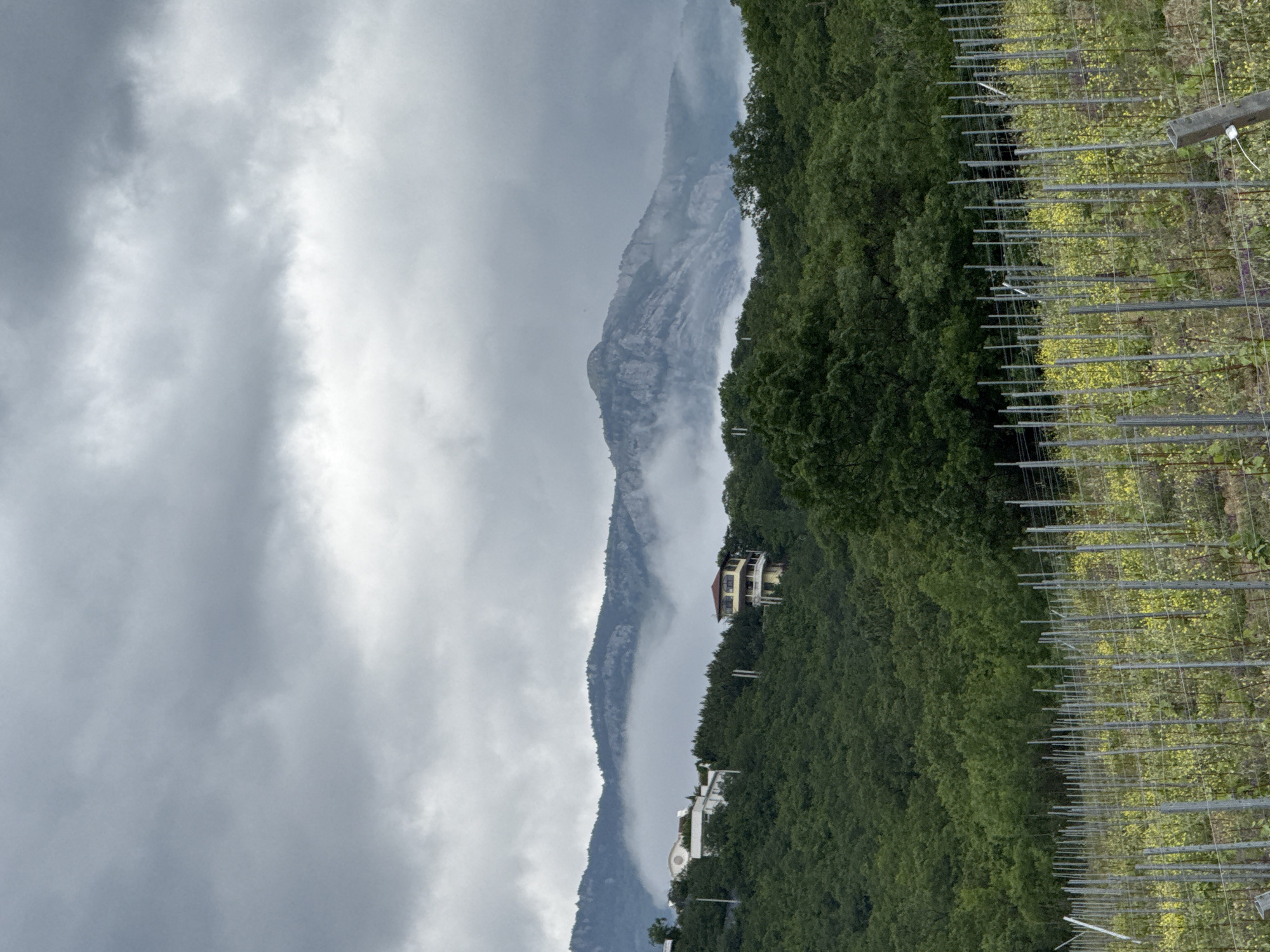 The image captures a landscape featuring a mountain range partially obscured by clouds, with a lush green hillside in the foreground. Buildings, including a multi-story structure, are nestled among the trees on the hillside. To the right of the hillside is a vineyard with visible trellises and vegetation. The sky is overcast, suggesting a cloudy day. The location is Unknown, Unknown.