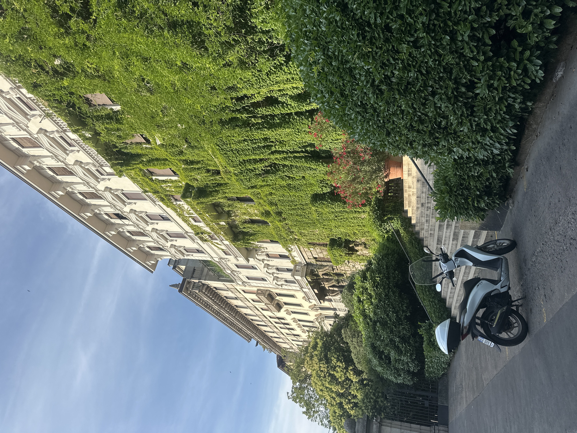 This photograph depicts a grand urban scene in central Milan, Italy, likely along or near Via Vittorio Veneto or Via Manzoni. The image is dominated by a multi-story building featuring classical Italian architecture, including ornate cornices, decorative window frames, and balconies with intricate railings. A significant portion of the building's right facade is enveloped in a dense curtain of vibrant green ivy, which cascades downwards and partially obscures numerous windows fitted with dark shutters.
To the left of the heavily ivy-covered section, the building's cream-colored facade is more visible, showcasing additional windows and a prominent central balcony. Below the building, a wide, multi-tiered concrete or stone staircase ascends towards the right, partially bordered by a manicured dark green hedge. A black metal handrail is discernible alongside the stairs. At the base of the staircase, a terracotta pot contains a bush with small red flowers.
In the lower left quadrant of the image, a light blue and white Honda SH scooter is parked on a dark paved surface, oriented slightly uphill towards the right. The scooter is equipped with a clear windscreen and a white top box attached to its rear rack. Further to the left, a large, dark metal gate is partially visible, situated behind dense green foliage and trees.
The sky is a light, clear blue with faint, wispy white cloud formations. A small dark bird is visible in flight in the upper left portion of the sky. The scene is brightly illuminated by daylight, creating shadows that indicate either morning or late afternoon sunlight. No individuals are present in the frame.