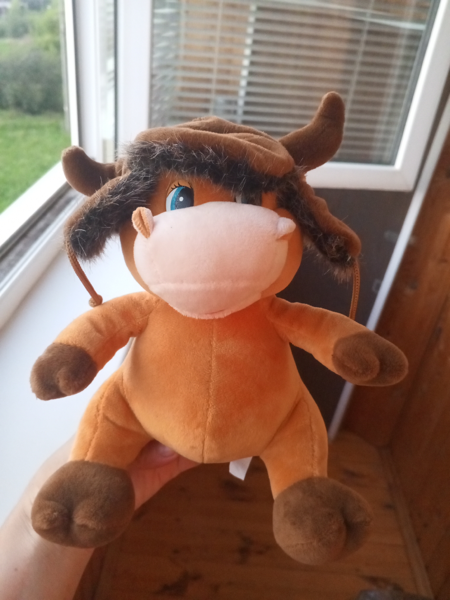 A plush toy, resembling a cartoon bull with a fuzzy brown hat and horns, is held in a person's hand in front of a window. The toy is orange with brown accents on its feet and horns. It has large blue eyes and a light pink muzzle. Through the window, a blurry green landscape is visible, possibly trees and grass. The window has horizontal blinds. The background also includes a wooden surface. The image appears to be taken indoors, near a window. The city of Chistopol, Russia is not visually identifiable in this image.