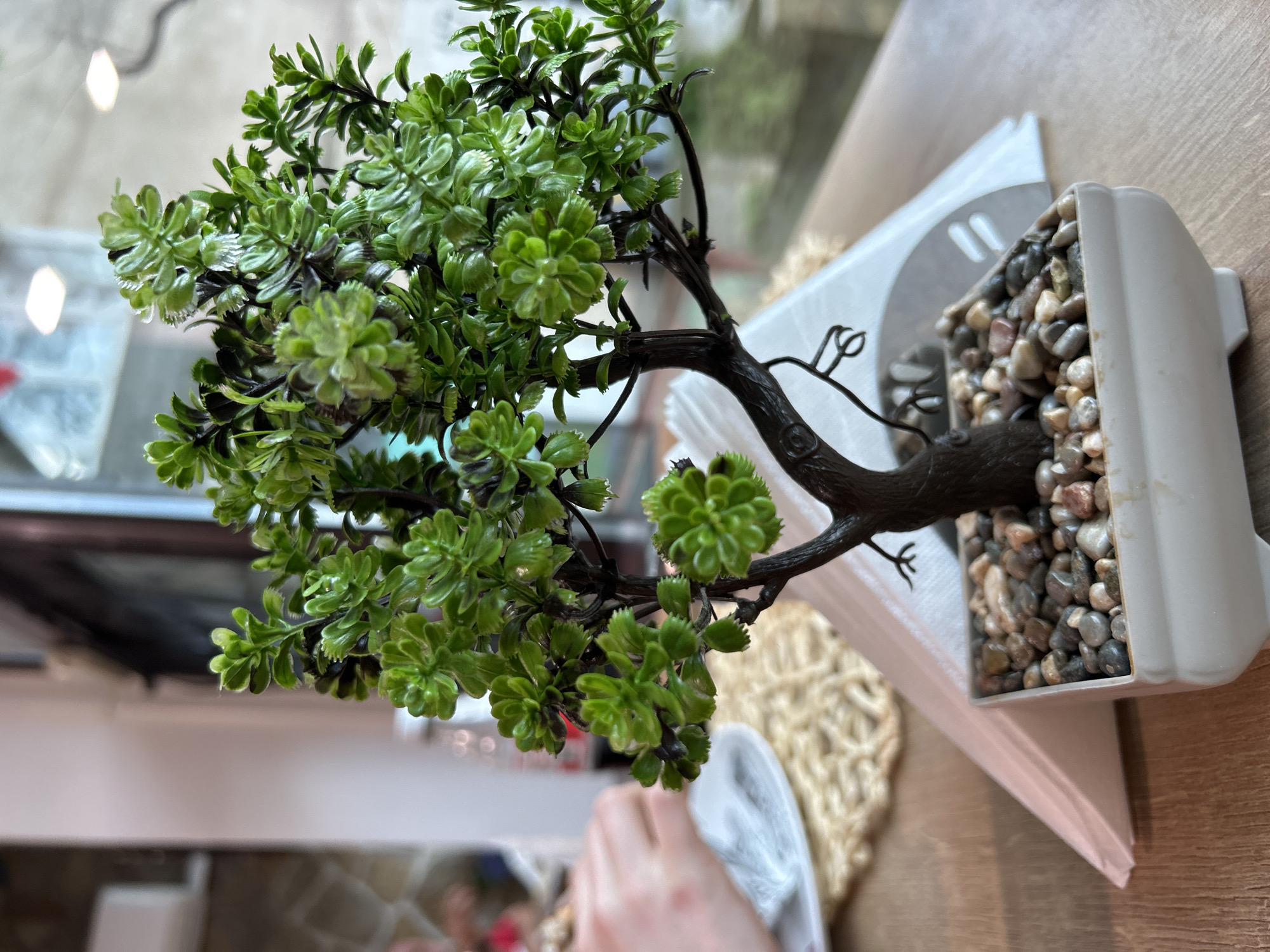 A close-up, slightly angled shot shows a small, artificial bonsai tree in a white, rectangular pot filled with pebbles. The tree has a dark brown trunk and branches, with dense clusters of small, green leaves. The pot is resting on a stack of white napkins. The background is blurry, but appears to be a light brown surface, possibly a table, with a woven placemat visible. There is a glimpse of a person's hand and forearm in the lower left corner. Based on available information, the location of the image is Burgas, Bulgaria.