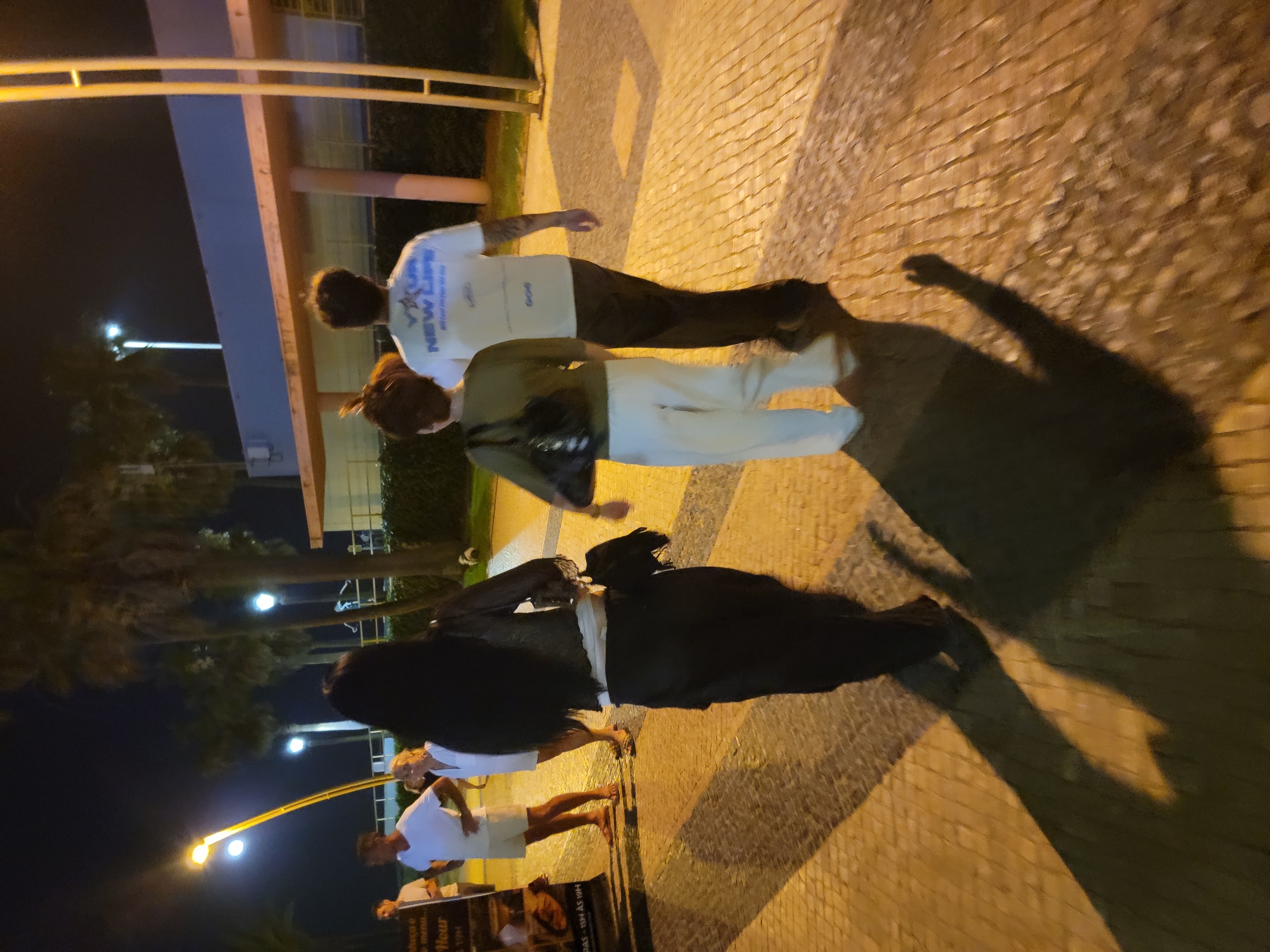 At night, on a cobblestone sidewalk in Quarteira, Portugal, near the marina, a group of four individuals walks away from the camera. In the foreground, a woman with long, dark hair wears a black sheer top and a long black skirt, carrying a black bag over her shoulder. To her right, a man in a white t-shirt with blue lettering and dark pants walks. To the left of the woman in black, a woman with short brown hair wears a green shirt and white pants, carrying a black bag. Further in the background, two men and a woman are visible near a lamppost and palm trees. One man wears a white t-shirt and shorts, while another wears a white t-shirt. A woman in a white top stands between them. The scene is illuminated by streetlights and the ambient light from nearby buildings.