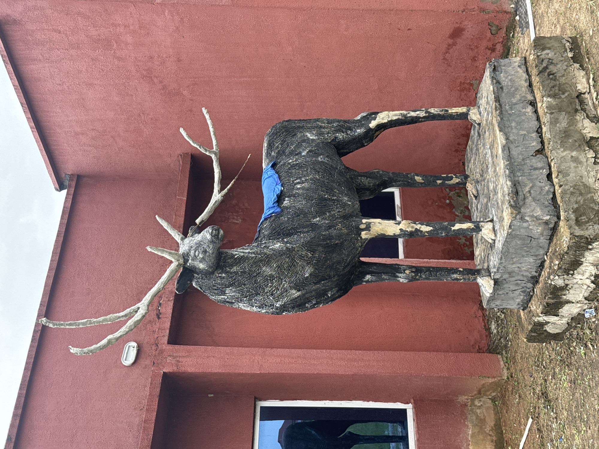 A full shot photograph shows a statue of a deer with large antlers standing on a two-tiered concrete platform. The statue is dark gray with lighter patches on its legs and body. A bright blue cloth is draped over its back. The statue is positioned in front of a textured, dark red building. To the left of the statue, a rectangular window with a white frame reflects the sky and a building. The ground in front of the statue is dirt with patches of green grass and scattered debris. The sky is overcast. This scene is located in front of a building within the city of Awka, Nigeria.