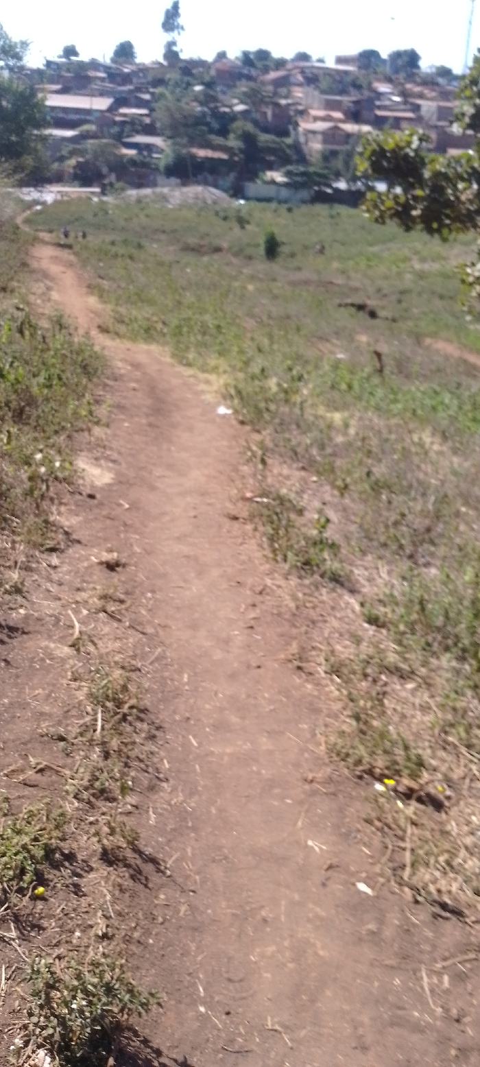 The image captures an outdoor scene dominated by a winding dirt path in the foreground, leading towards a hillside settlement in the distant background.
In the immediate foreground and extending into the midground, a reddish-brown unpaved dirt path carves a clear route through a grassy, undulating landscape. The path, appearing well-trodden, begins wider on the lower left of the frame and narrows as it curves gently towards the center and slightly left in the midground. Its edges are lined with a mix of sparse green grass and dry, brown vegetation, suggesting a somewhat arid or dry climate. Small plants and weeds are scattered along the verges of the path. On the right side of the path in the midground, a small white piece of what appears to be litter is visible on the ground, and further along, some small yellow elements are seen.
The midground primarily consists of grassy slopes, with variations in vegetation density, featuring both greener patches and areas of drier, lighter-colored grass. The terrain is uneven, indicating a natural, uncultivated area.
In the background, a dense cluster of houses forms a settlement or village perched on a distant hillside. The buildings are mostly low-rise, possibly made of brick or concrete, and many feature reddish-brown roofs, blending into the earthy tones of the landscape. They appear closely packed together, ascending the slope. Trees and other green foliage are interspersed among the houses and across the hillside, providing some natural contrast to the built environment. A tall, slender tree with sparse leaves is particularly noticeable against the sky on the far left of the background hill.
The sky is bright and appears hazy or slightly overcast, indicating broad daylight, likely mid-morning or afternoon, without strong shadows being cast by the sun. The overall impression is one of a rustic or semi-rural environment, with a well-used pedestrian path serving as a link to a community on a hill. No specific activity is discernible, and no text is visible in the image.